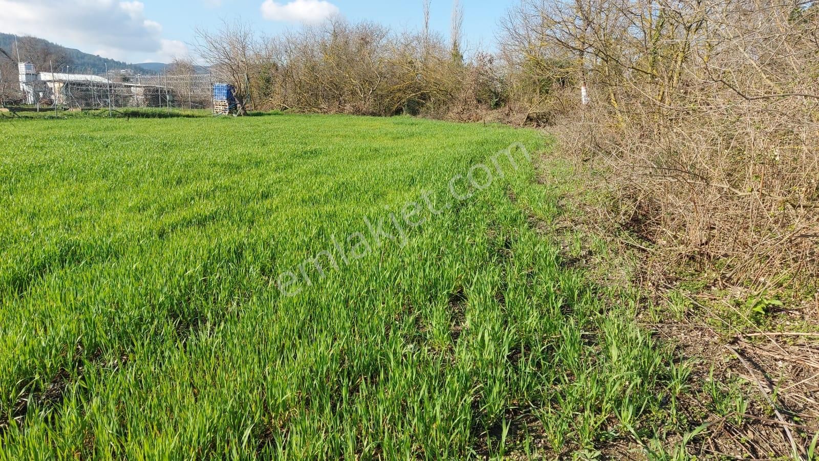 Kayapa Ovada Dümdüz Anayola 320 M Mesafede 1415 M2 Arazi - Görsel 25