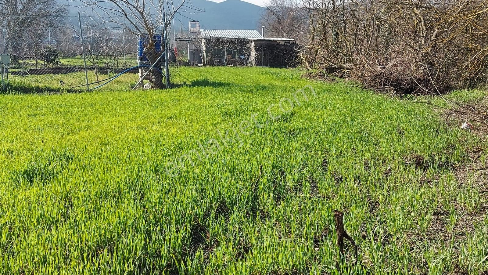 Kayapa Ovada Dümdüz Anayola 320 M Mesafede 1415 M2 Arazi - Görsel 21