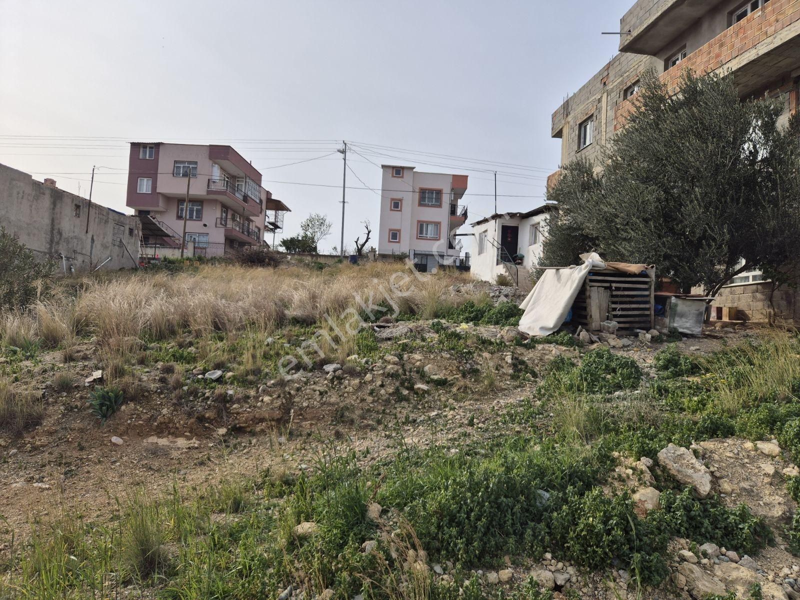 Kozan Tavşantepede İki Yola Cepheli Zemin+3 Konut İmarlı Arsa - Görsel 5