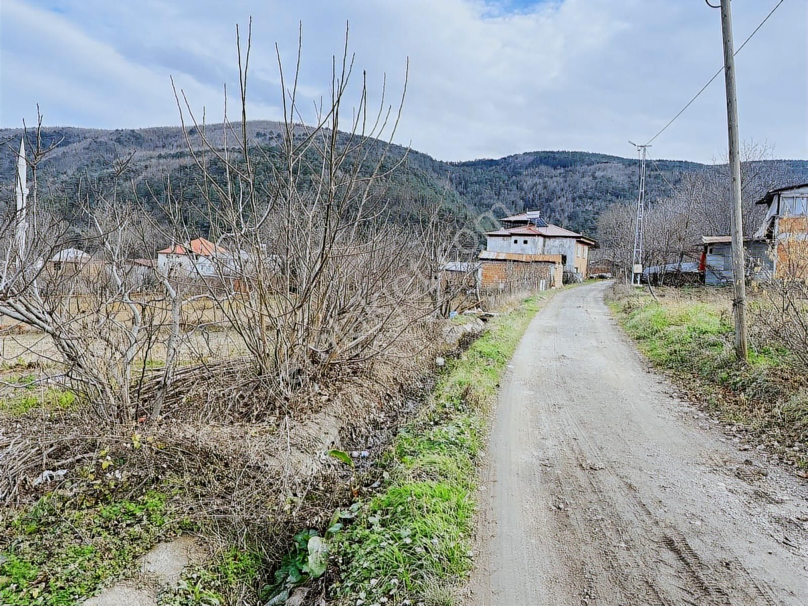 Ankara Yolu Üstü Adalar Mevkii Acil Satılık 668 M2 Arsa - Görsel 3