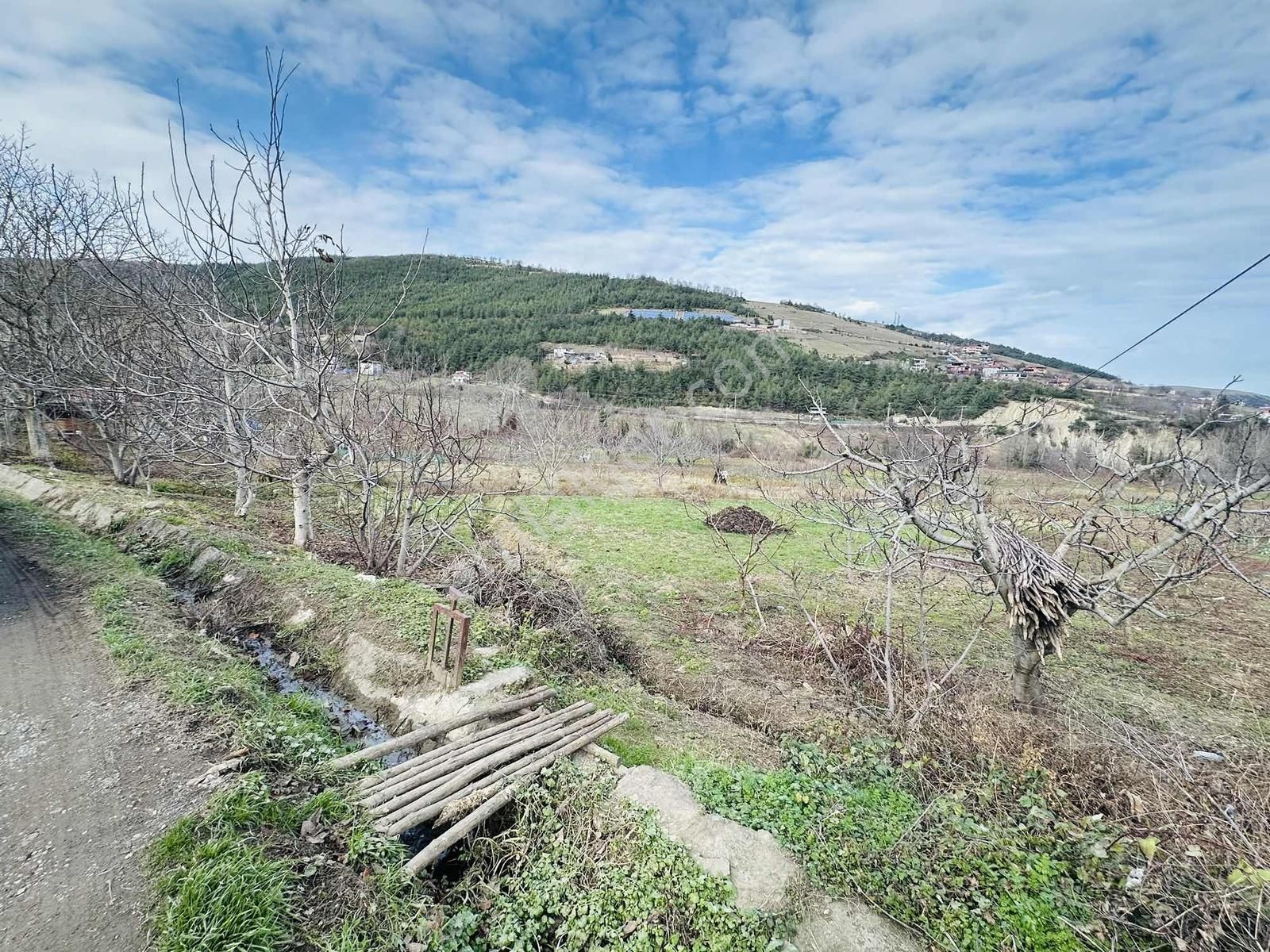Ankara Yolu Üstü Adalar Mevkii Acil Satılık 668 M2 Arsa - Görsel 5