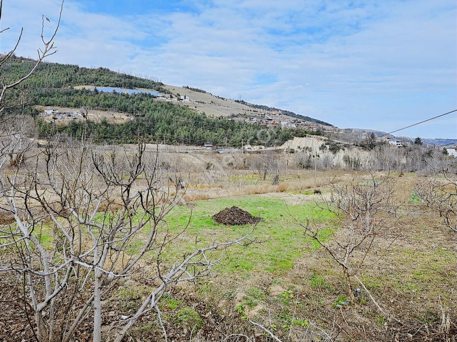 Ankara Yolu Üstü Adalar Mevkii Acil Satılık 668 M2 Arsa - Görsel 2