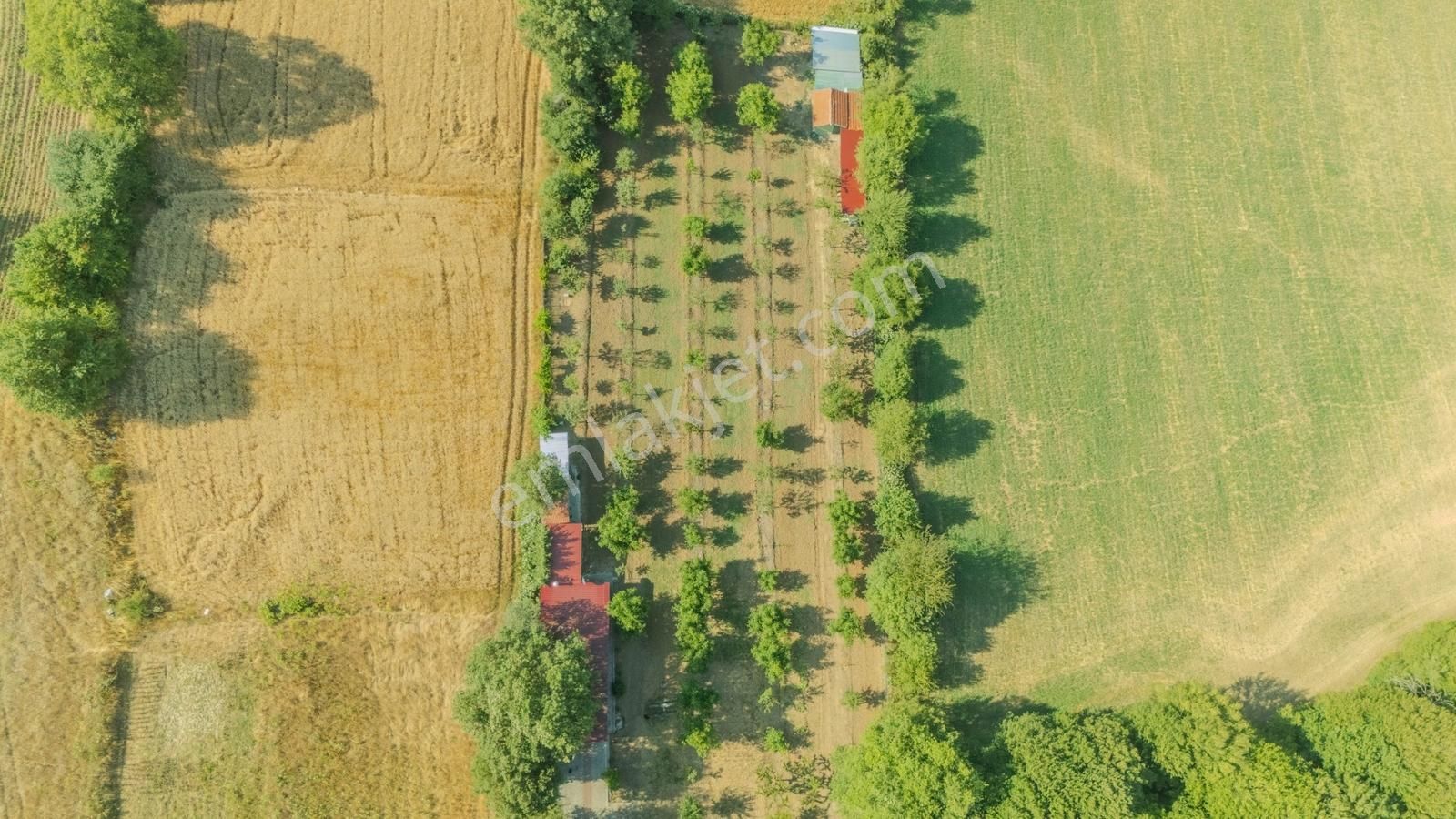 Bolu Merkez Gölköy Köyü Satılık Hobi Bahçesi - Görsel 7