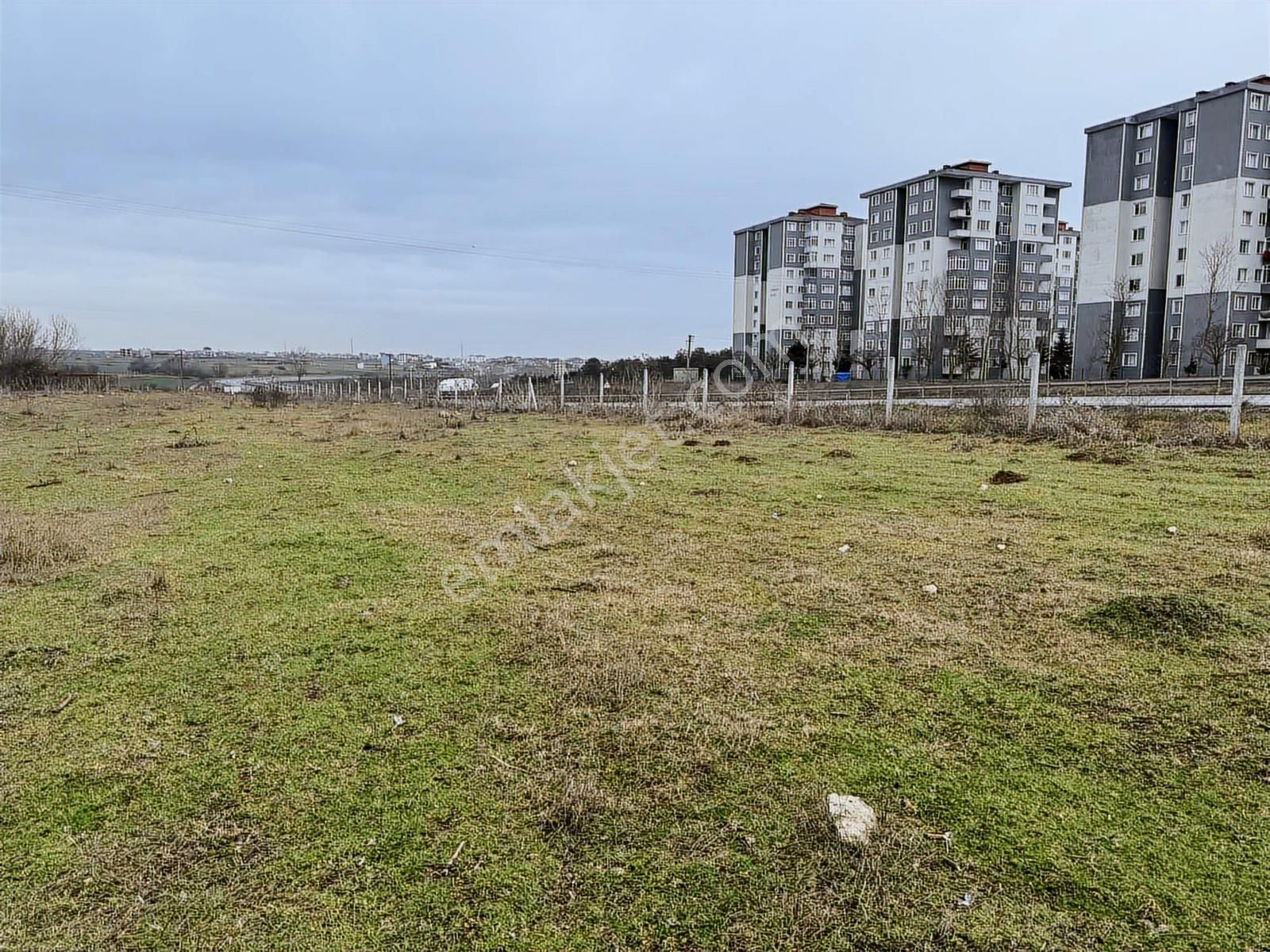 Çerkezköy Saray Asvaltına Cephelı Mükemmel Konumda Tarla - Görsel 2