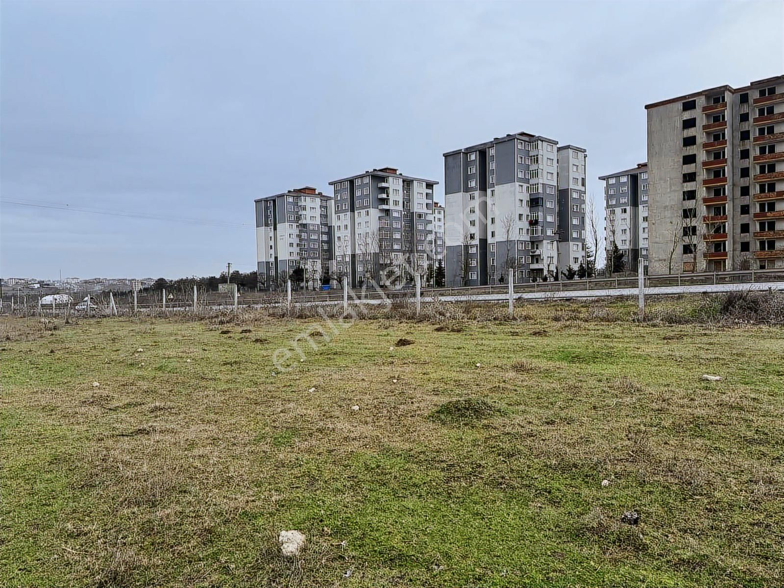 Çerkezköy Saray Asvaltına Cephelı Mükemmel Konumda Tarla - Görsel 7