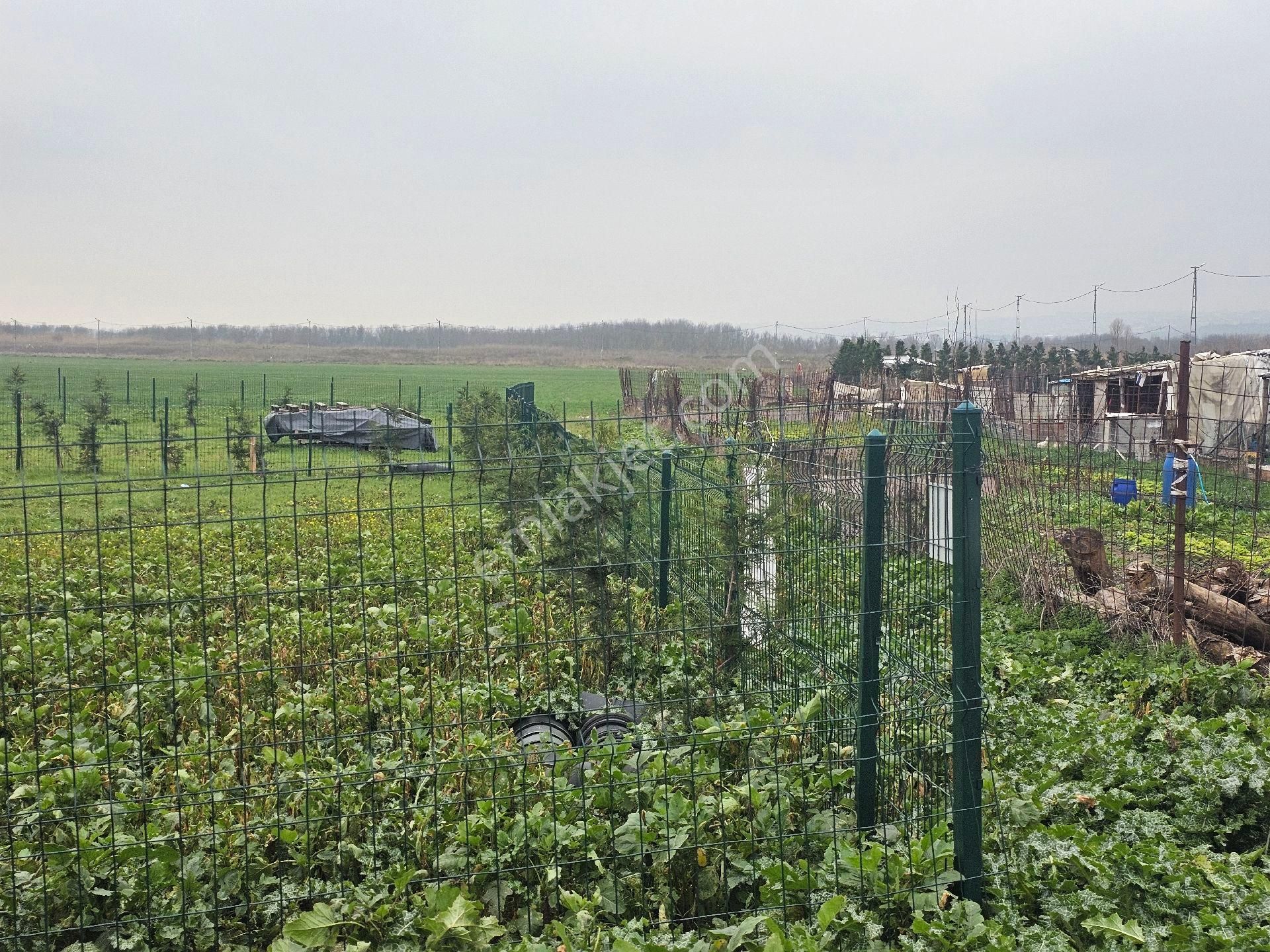 Büyükçekmece Satılık Arsa