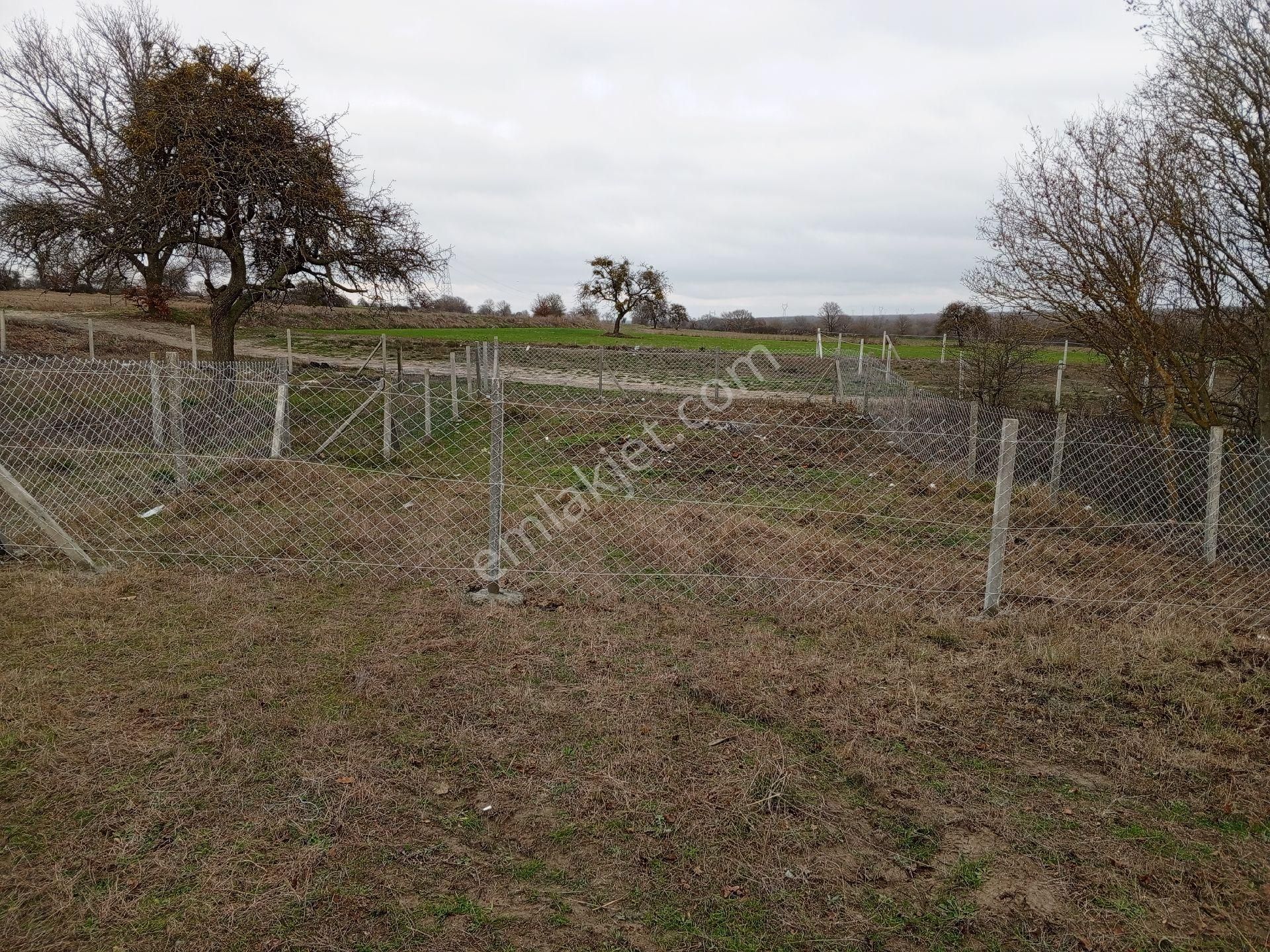 Çerkezköy Gazi Mustafa Kemal Paşa Mahallesinde - Görsel 2