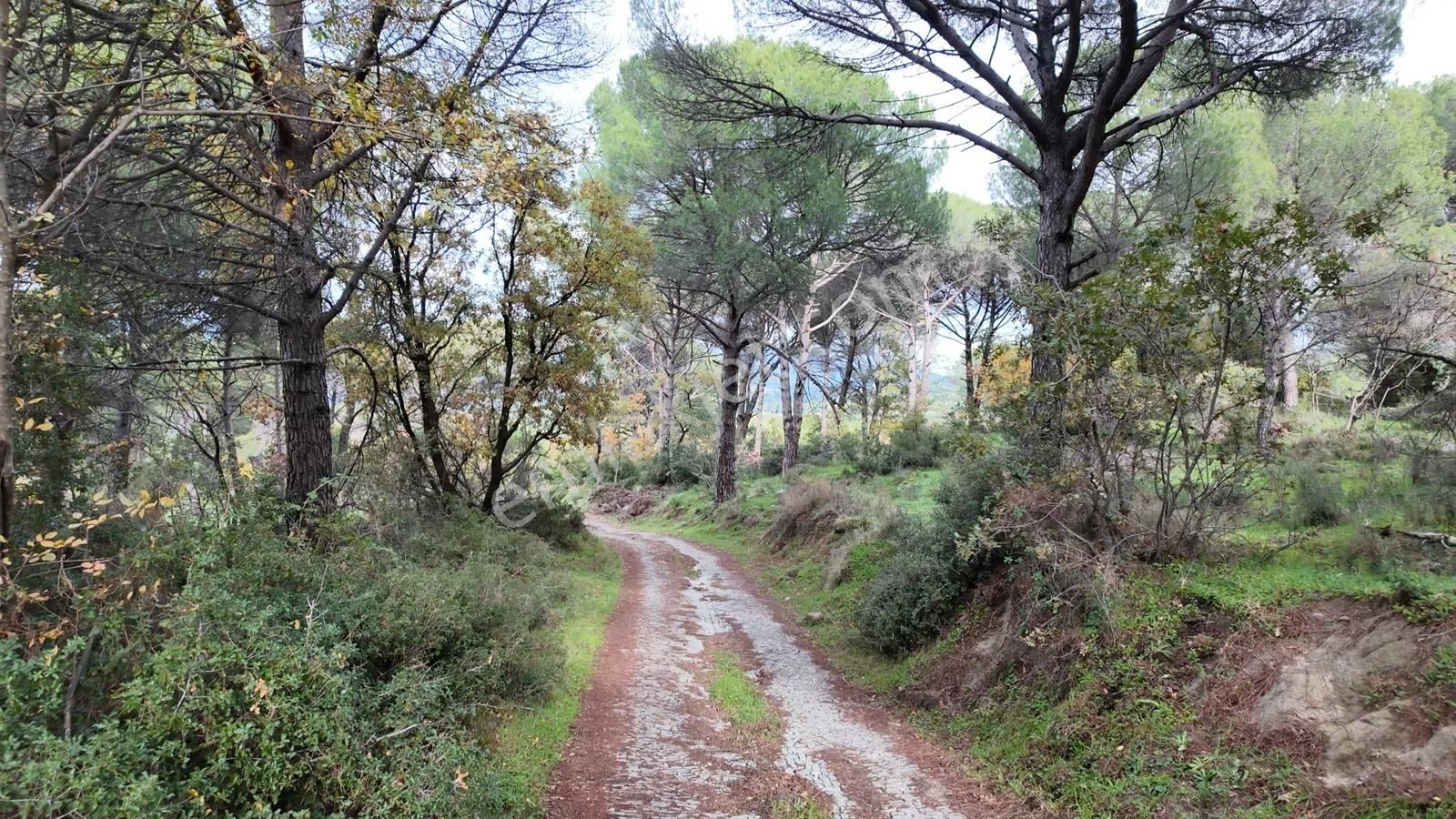 Kozak Yaylası Satılık ( 900 M2) - Görsel 7
