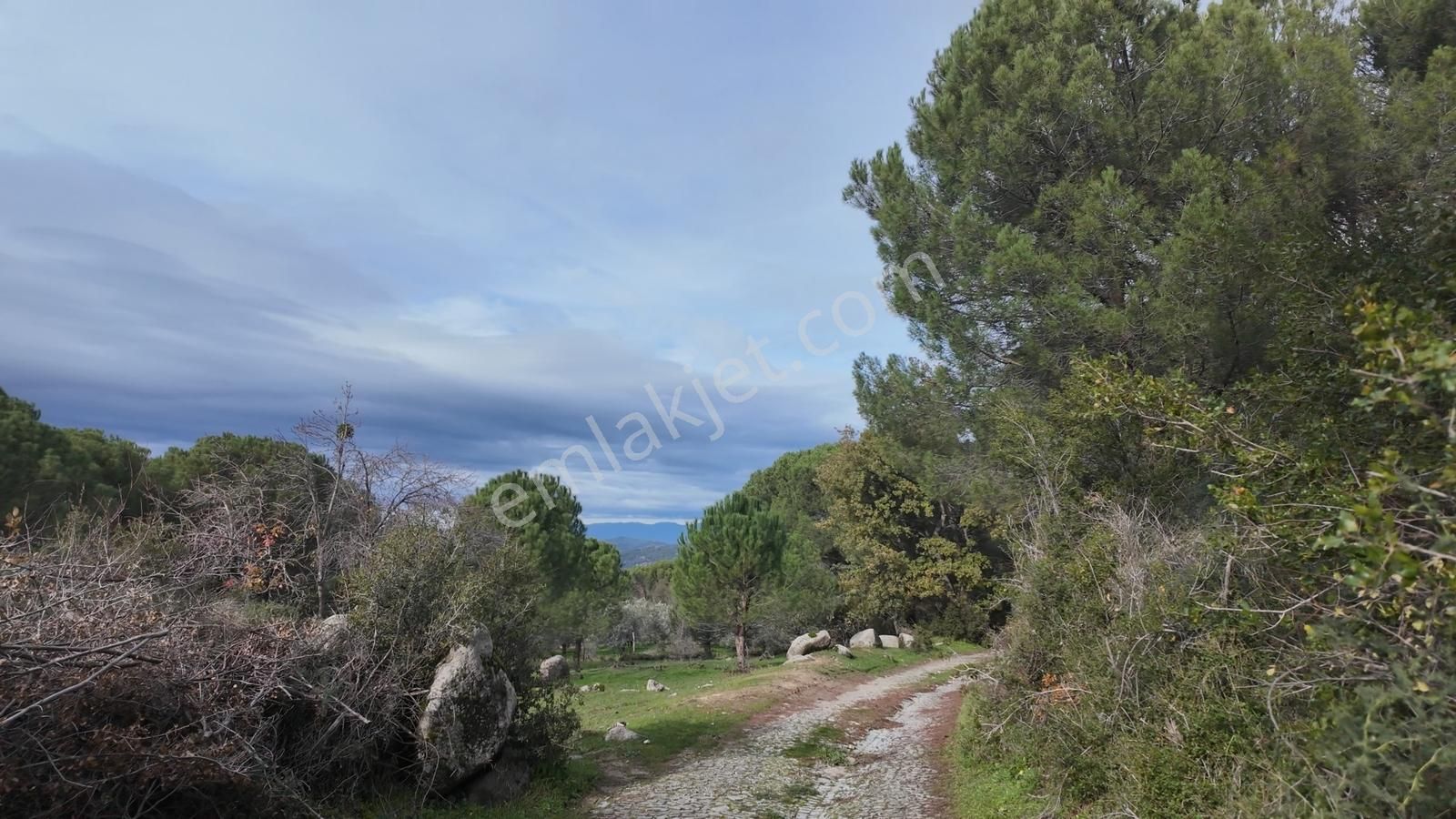 Kozak Yaylası Satılık ( 900 M2) - Görsel 7