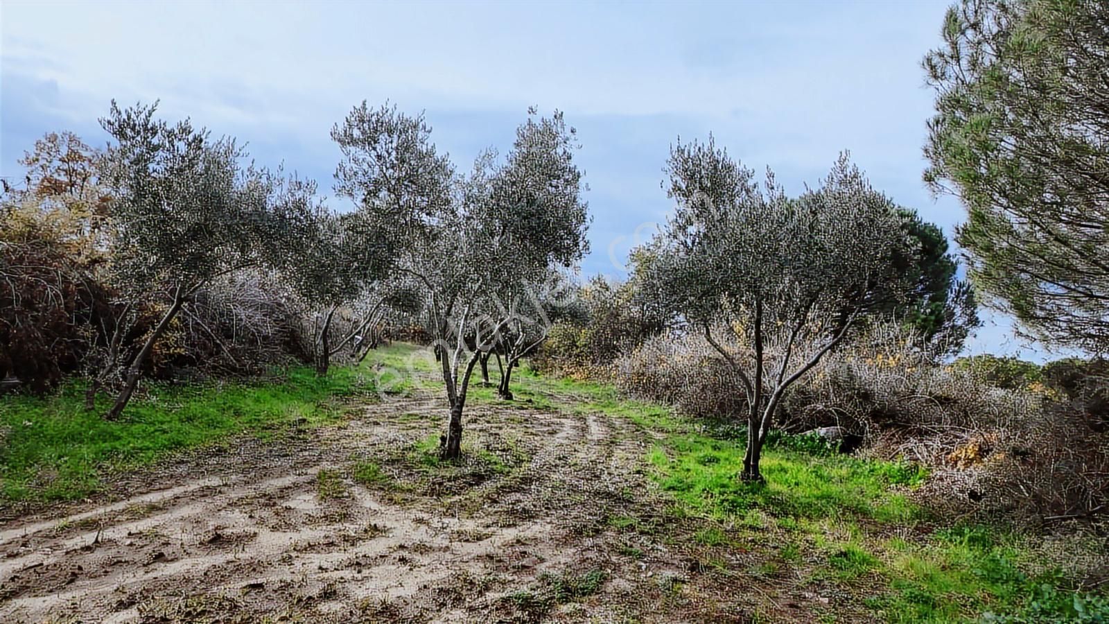 Kozak Yaylası Satılık ( 900 M2) - Görsel 4