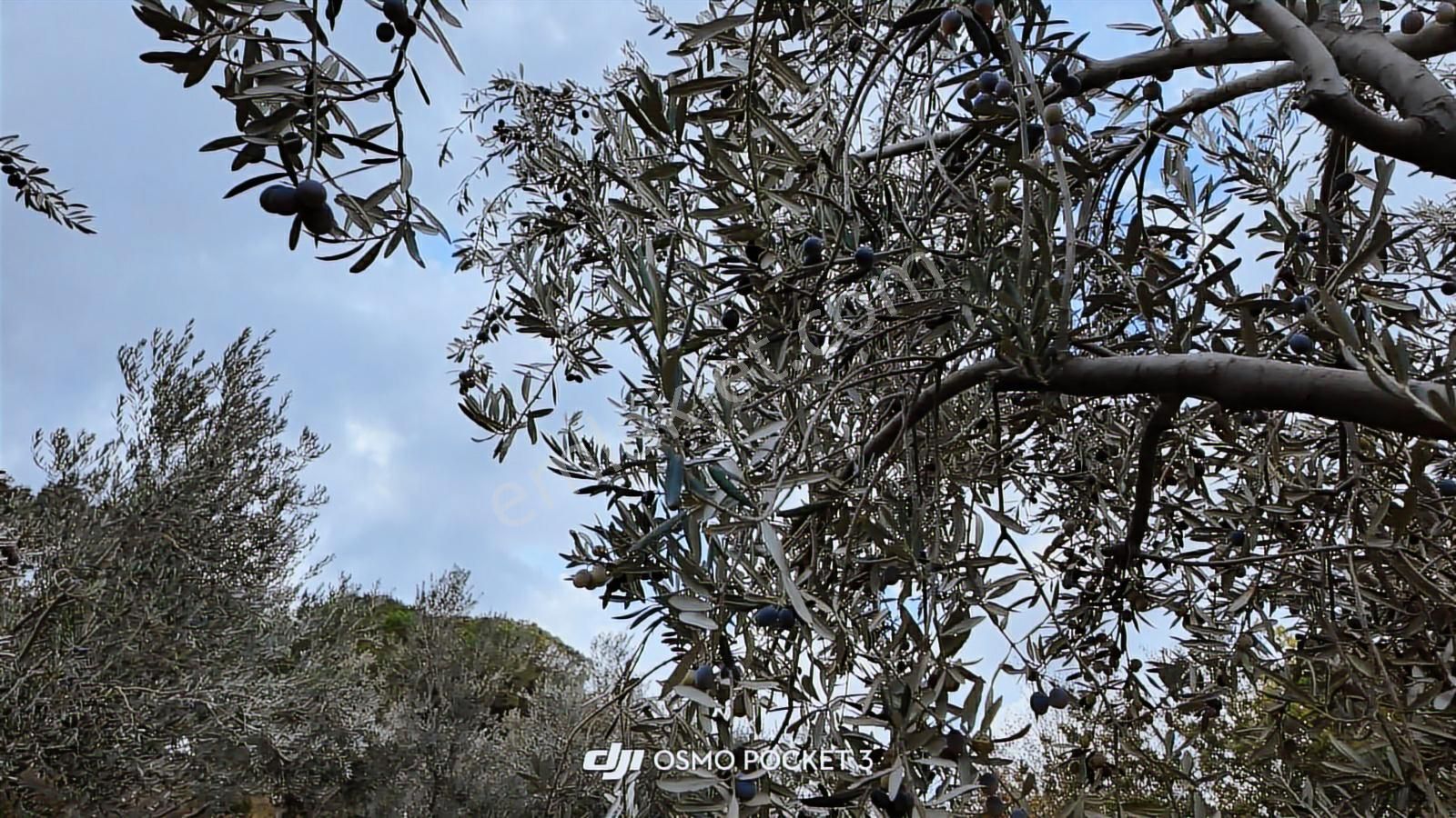 Kozak Yaylası Satılık ( 900 M2) - Görsel 19