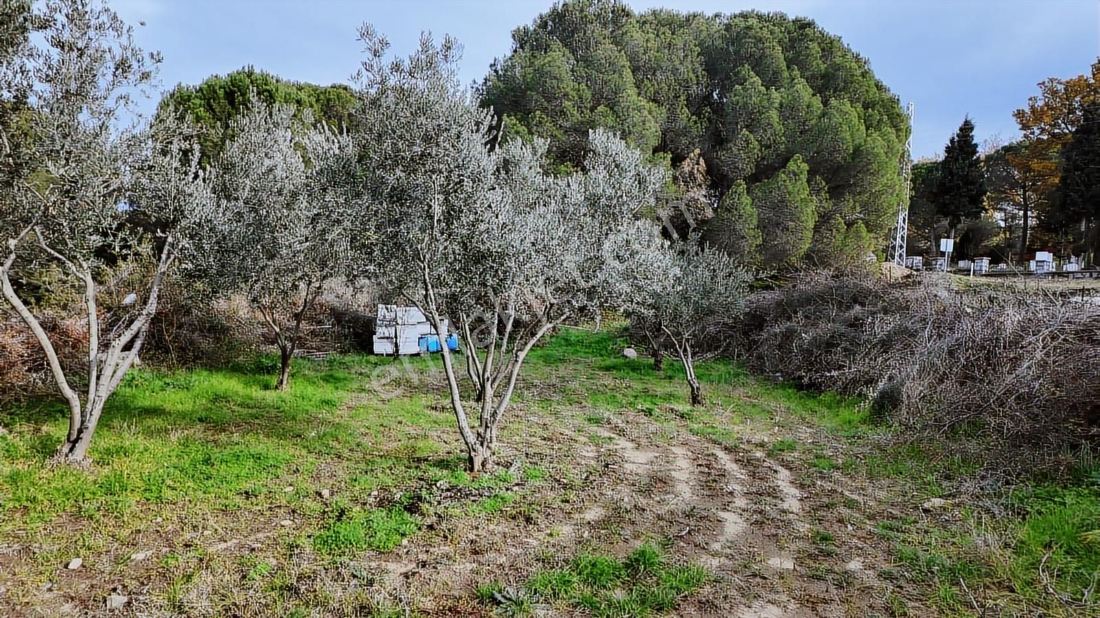 Kozak Yaylası Satılık ( 900 M2) - Görsel 12