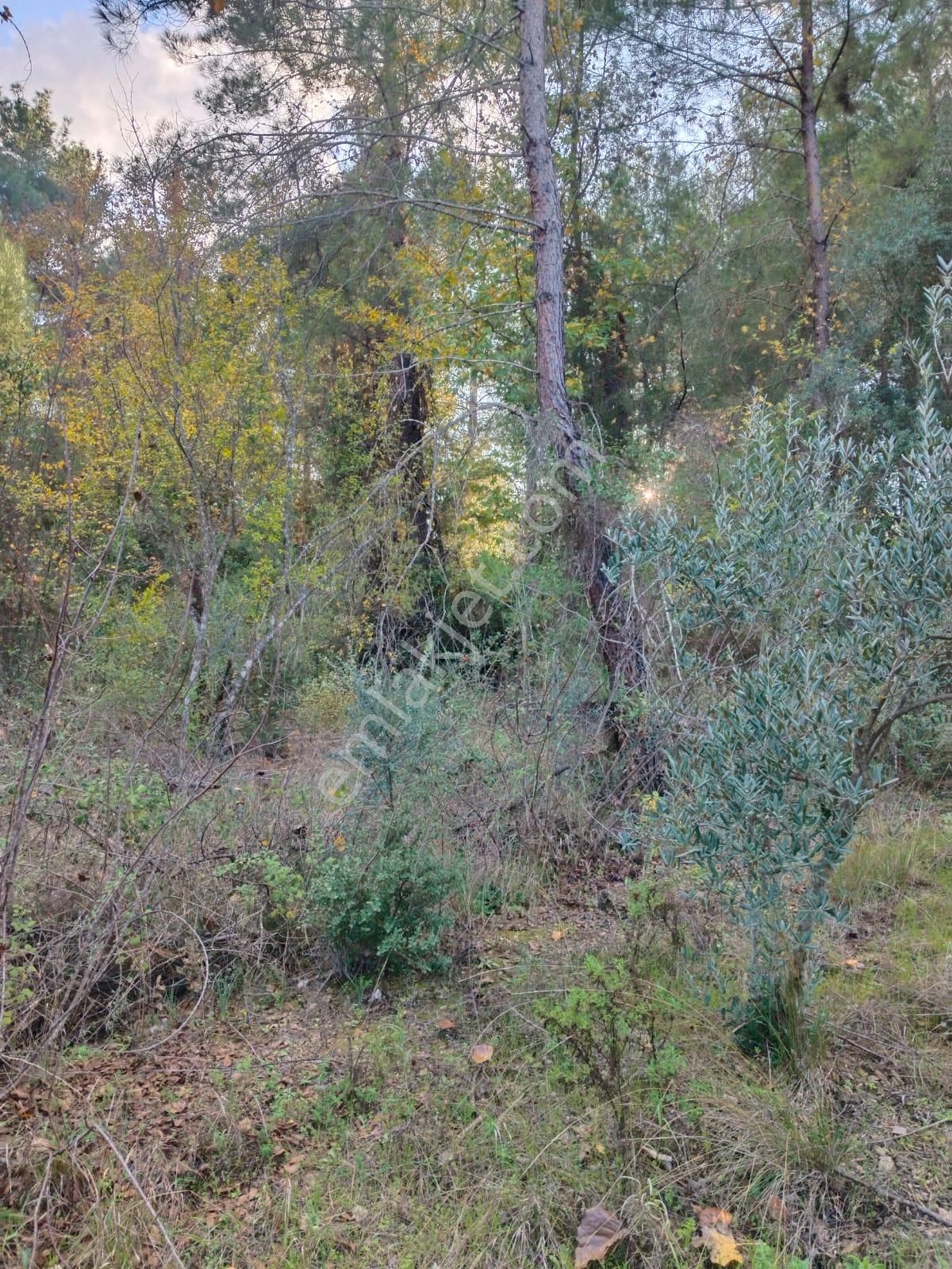 Yol Kenarı | Su Kanalı Cepheli | 1.993 M² Tarla | Cazip - Görsel 2
