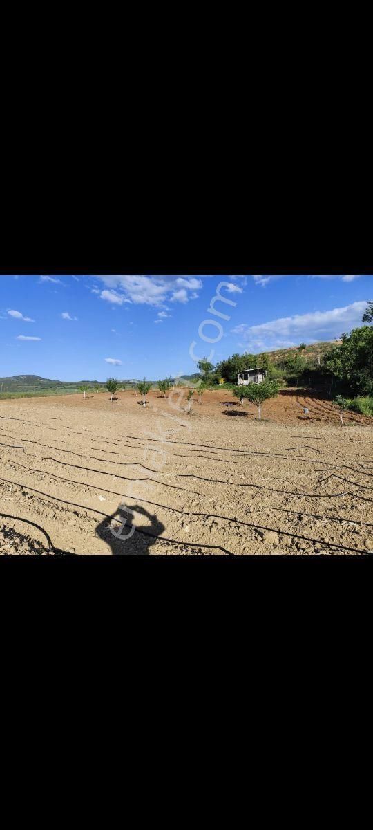 Bursa Yenişehir Hayriye Mahallesi.