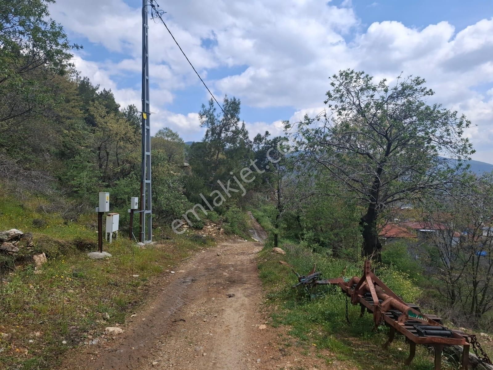 Bayındır Osmanlar Mahallesinde Satılık Bahçe - Görsel 4