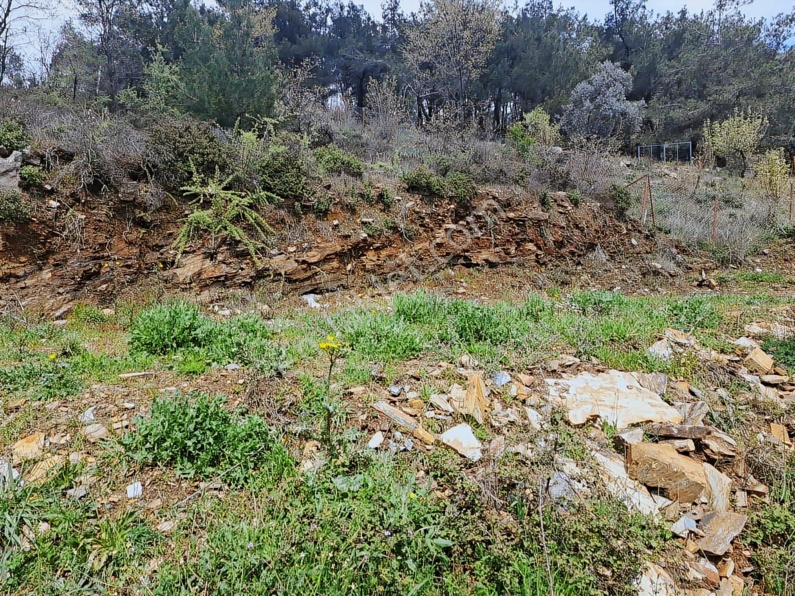 Bayındır Osmanlar Mahallesinde Satılık Bahçe - Görsel 9