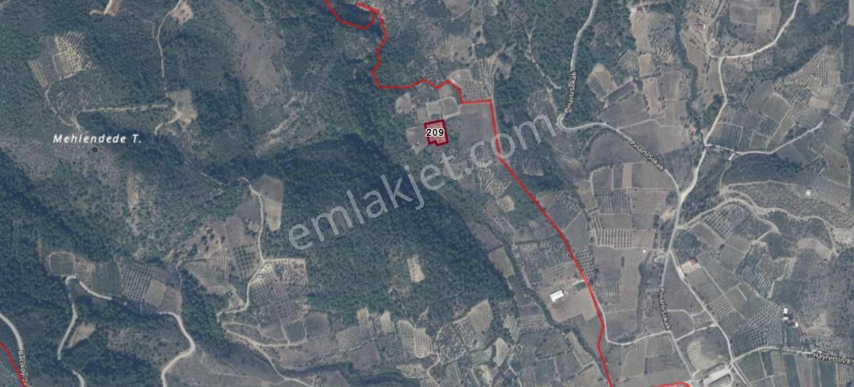 Turyapdan Pamukova Bacıköy Zeytinlik Tarla - Görsel 4