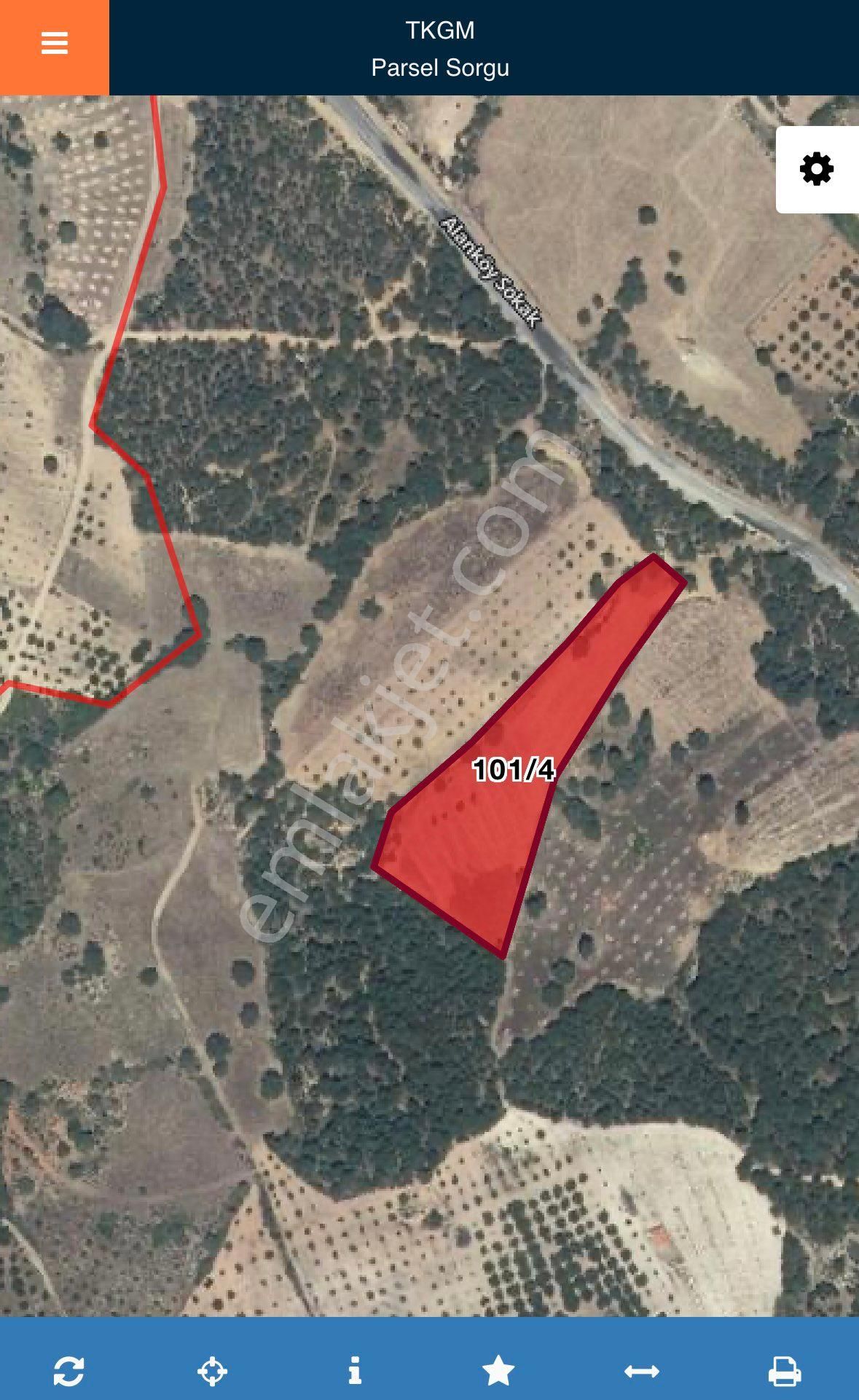 Balcity - Bigadiç’te 6.764 M2 Asfalt Yola Cephe Bakımlı Cevizlik Bahçesi - Görsel 7