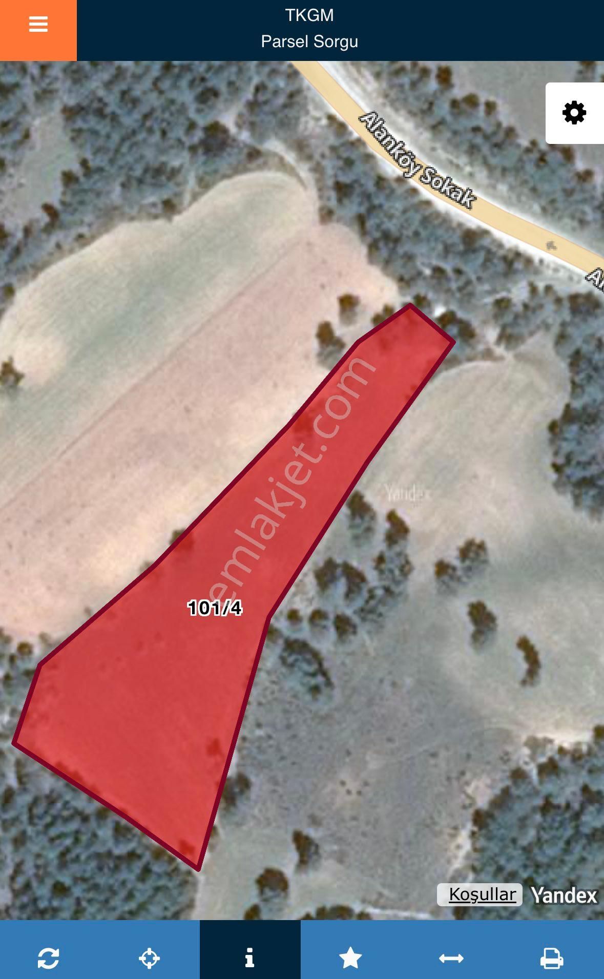 Balcity - Bigadiç’te 6.764 M2 Asfalt Yola Cephe Bakımlı Cevizlik Bahçesi - Görsel 10