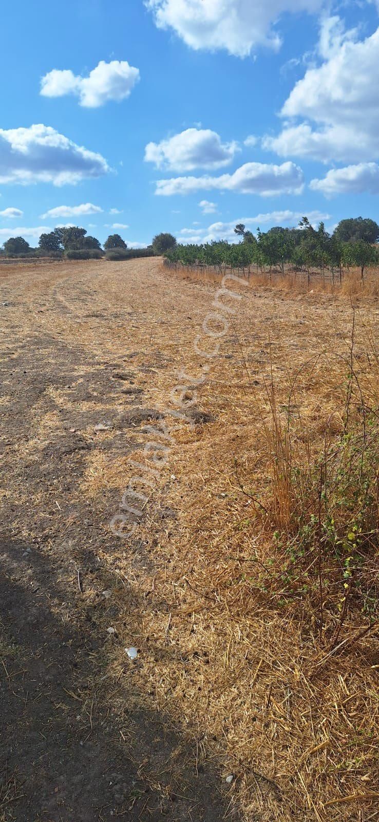 Balcity - Balıkesir Savaştepe Söğütcük'te Köy İçi 4.041 M2 Asfalt Yola Cephe Yatırım Fırsatı - Görsel 13