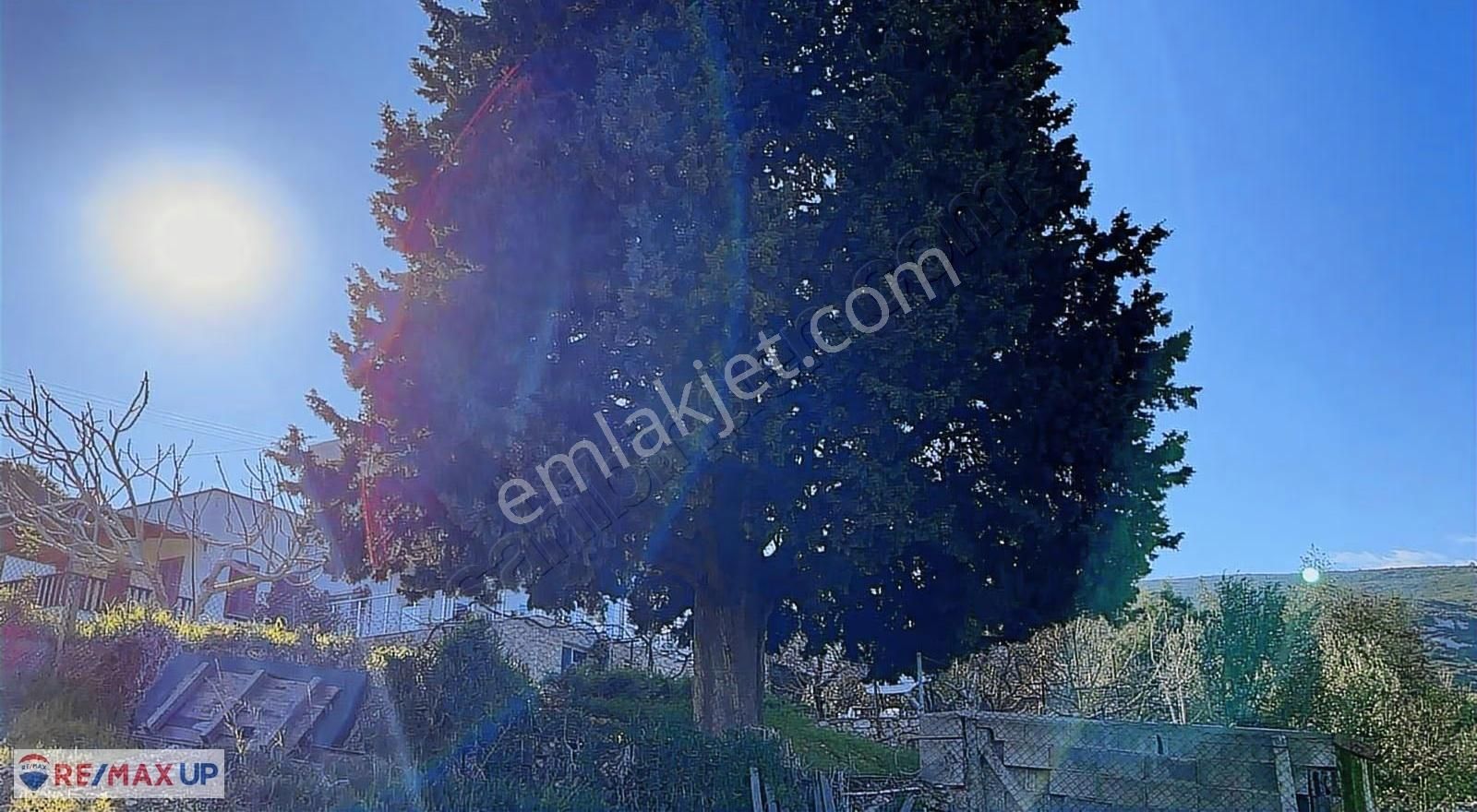 Mordoğanda Ana Yol Üzeri,altyapısı Hazır,üretim Yapan Zeytinlik - Görsel 5