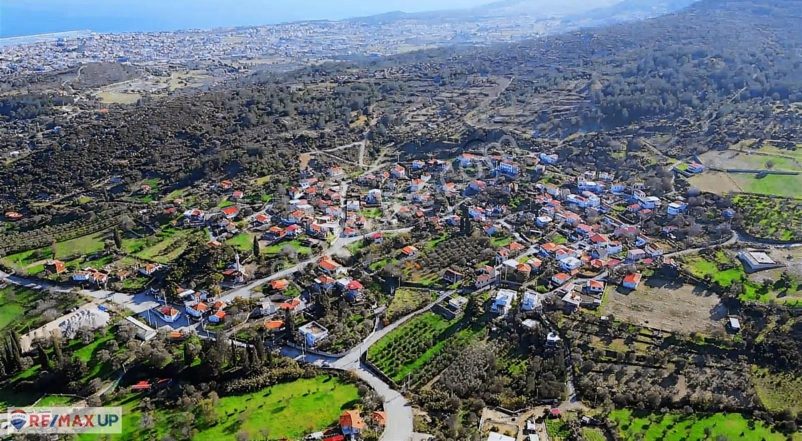 Mordoğanda Ana Yol Üzeri,altyapısı Hazır,üretim Yapan Zeytinlik - Görsel 14