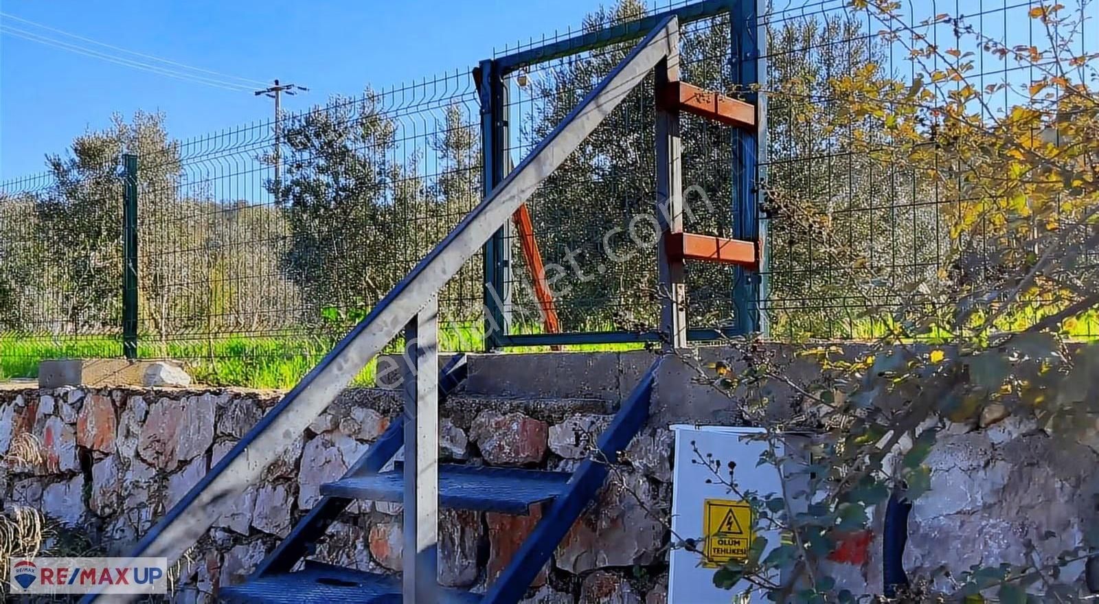 Mordoğanda Ana Yol Üzeri,altyapısı Hazır,üretim Yapan Zeytinlik - Görsel 7