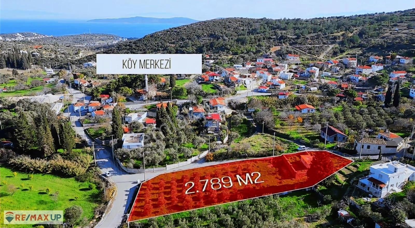 Mordoğanda Ana Yol Üzeri,altyapısı Hazır,üretim Yapan Zeytinlik - Görsel 6