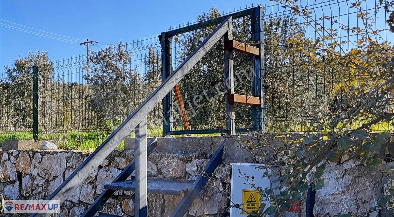 Mordoğanda Ana Yol Üzeri,altyapısı Hazır,üretim Yapan Zeytinlik - Görsel 3