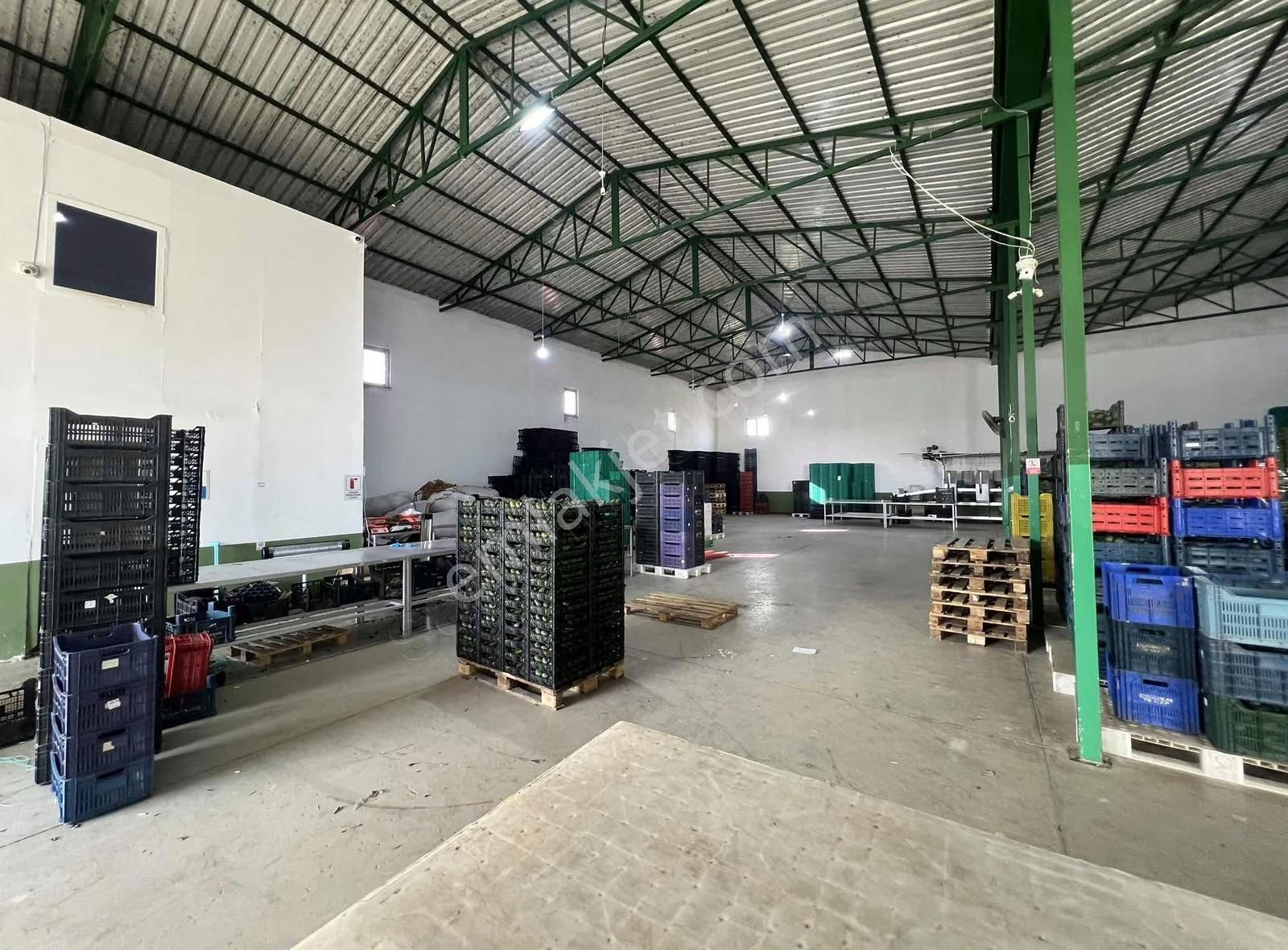 Altınovada Kiralık Depo & Tesis | 900 M² - Görsel 2