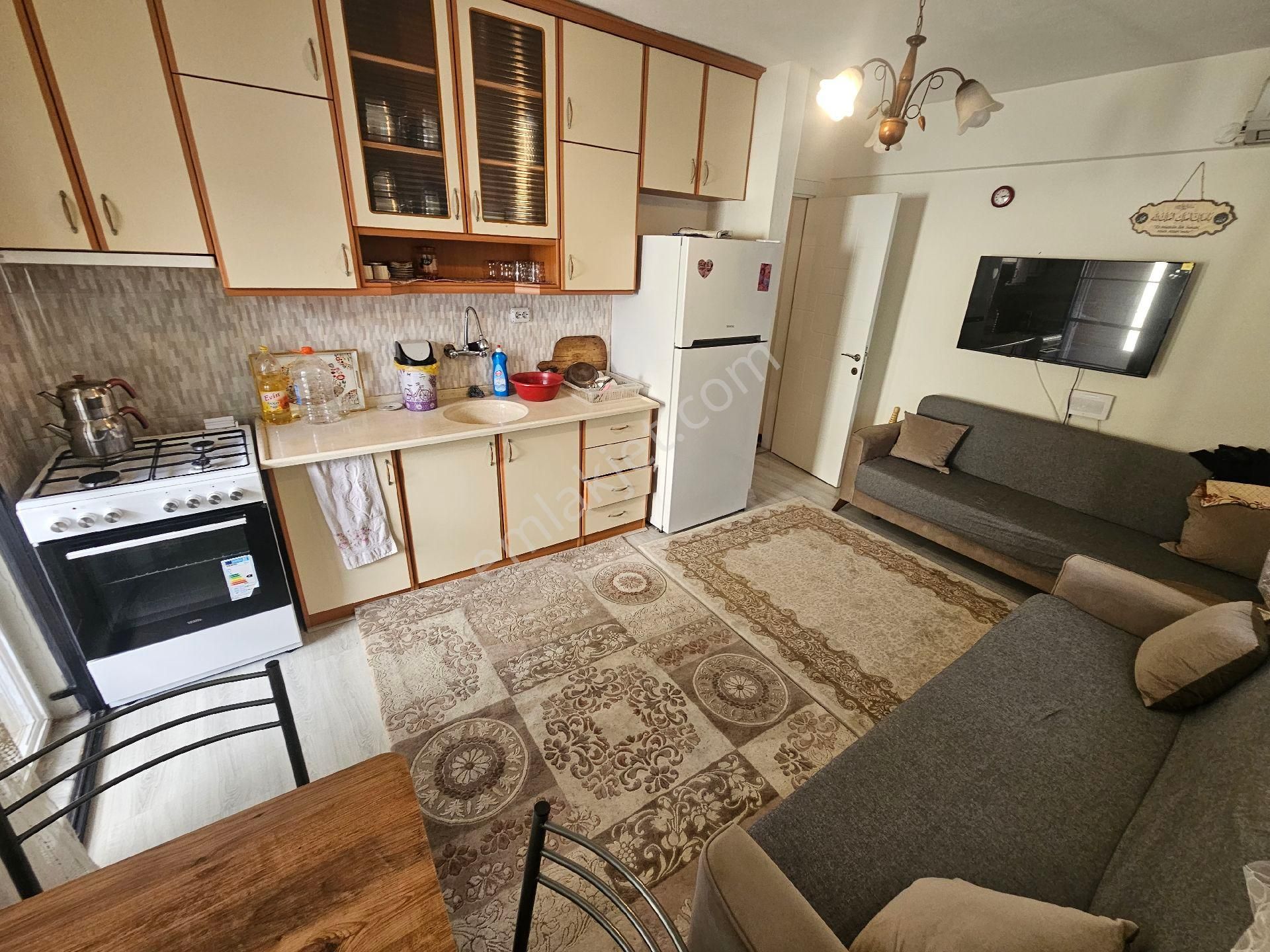 Aydın Didim Çamlık Mahallesi - Görsel 13