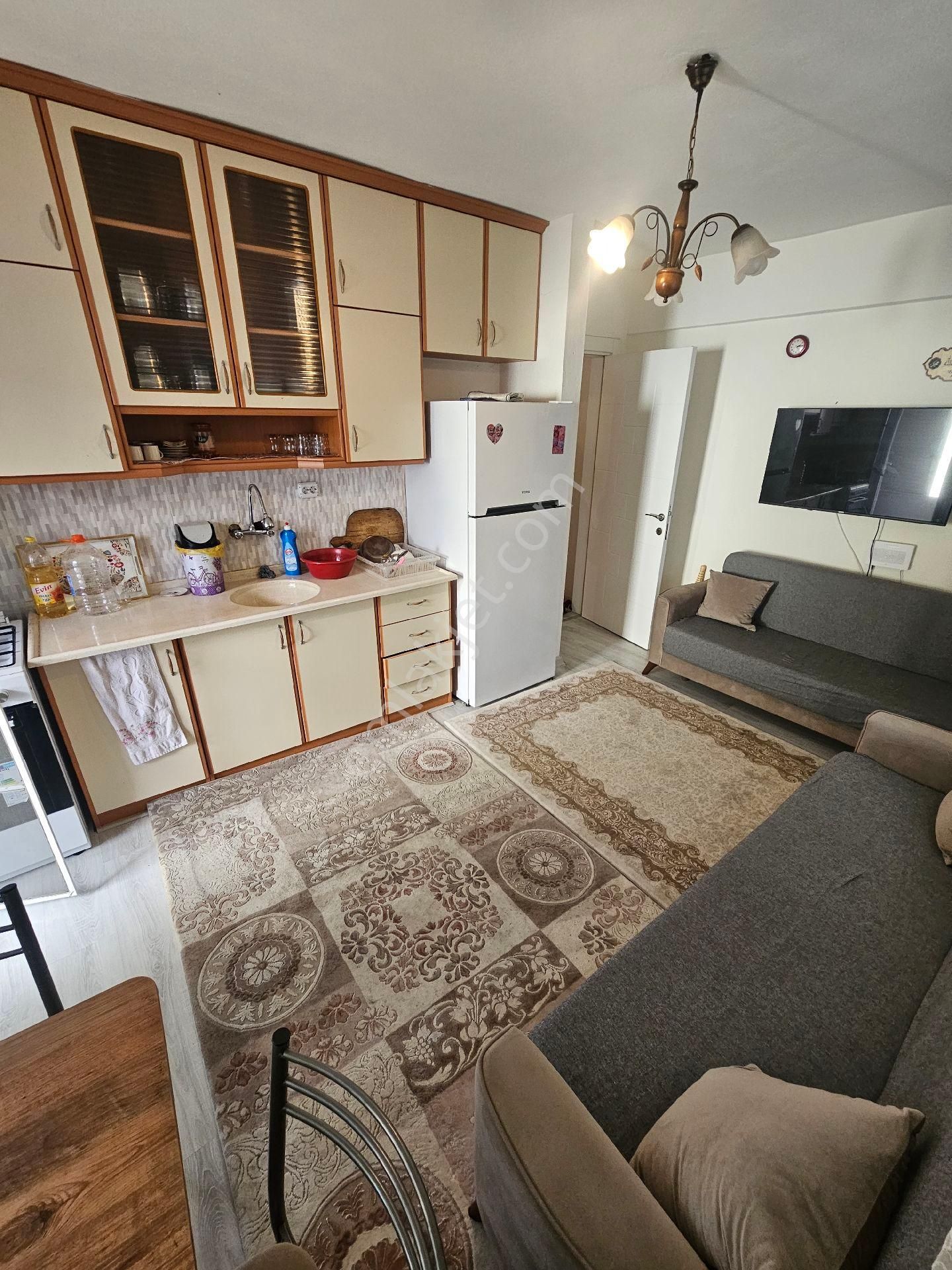 Aydın Didim Çamlık Mahallesi - Görsel 16