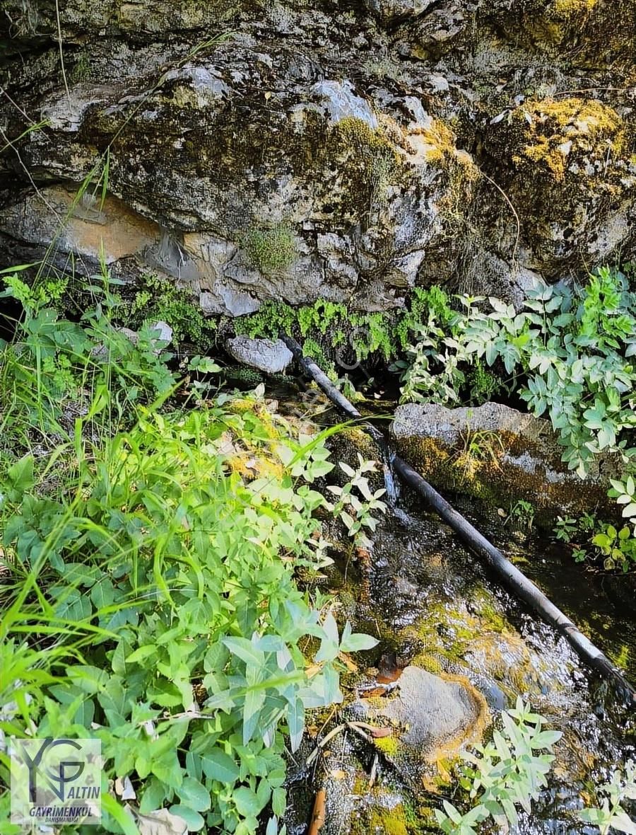 Yng Altın Dalaman Taşbaşı Satılık Tarla
