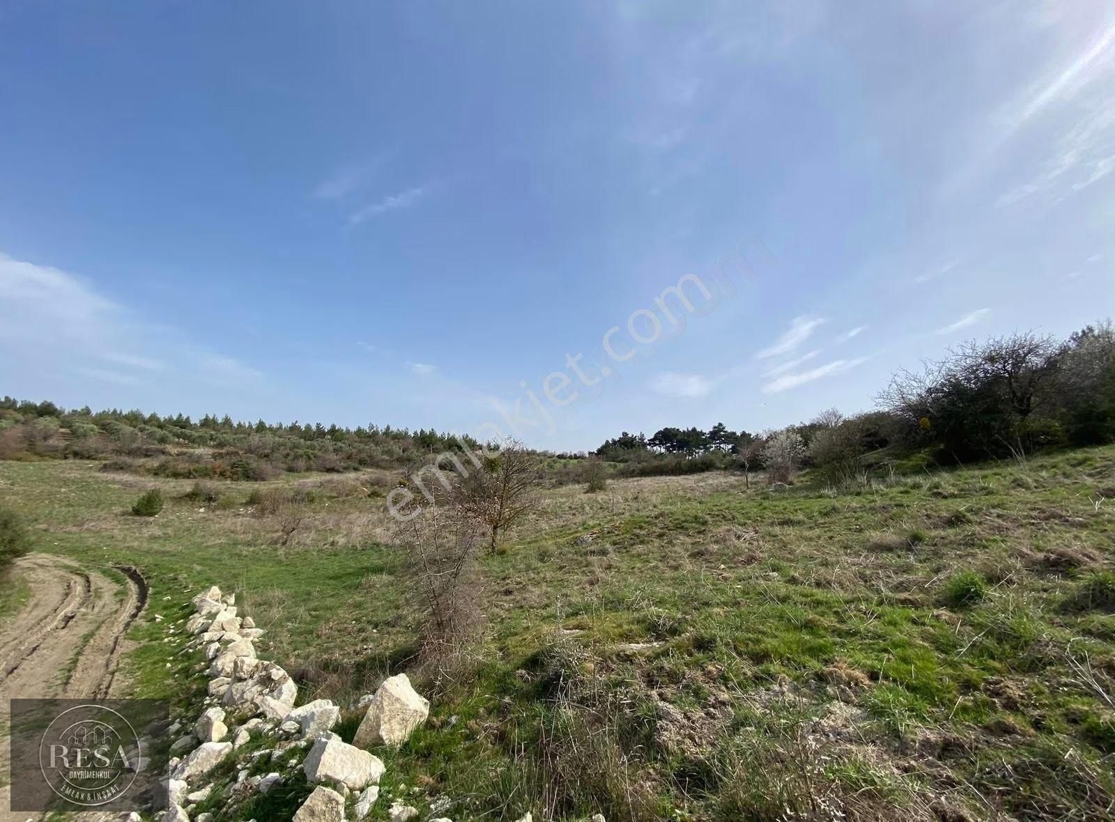 Resa Gayrimenkul'den Sevişler Mh 10 Dönüm Satılık Arazi - Görsel 2