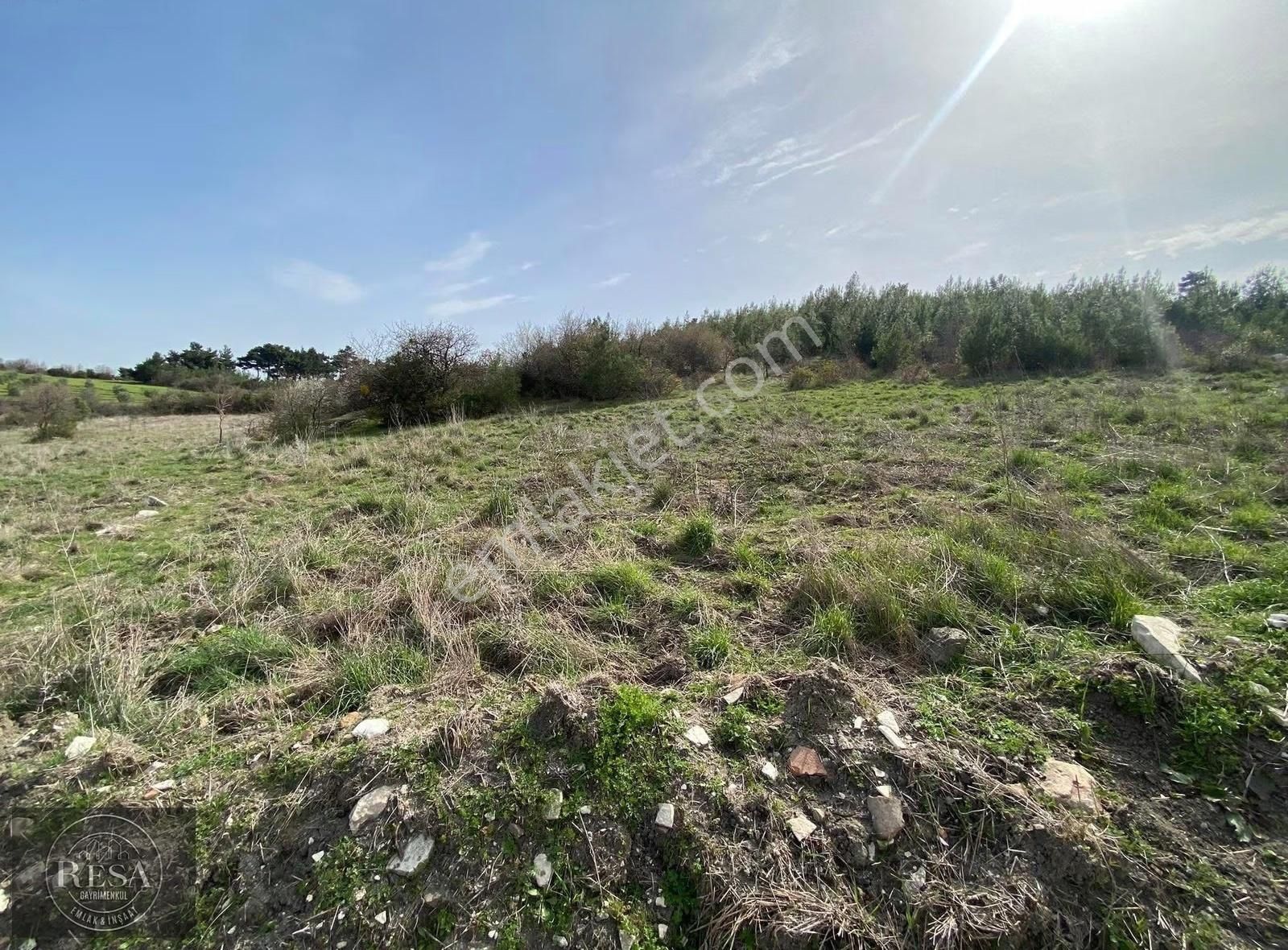 Resa Gayrimenkul'den Sevişler Mh 10 Dönüm Satılık Arazi - Görsel 4