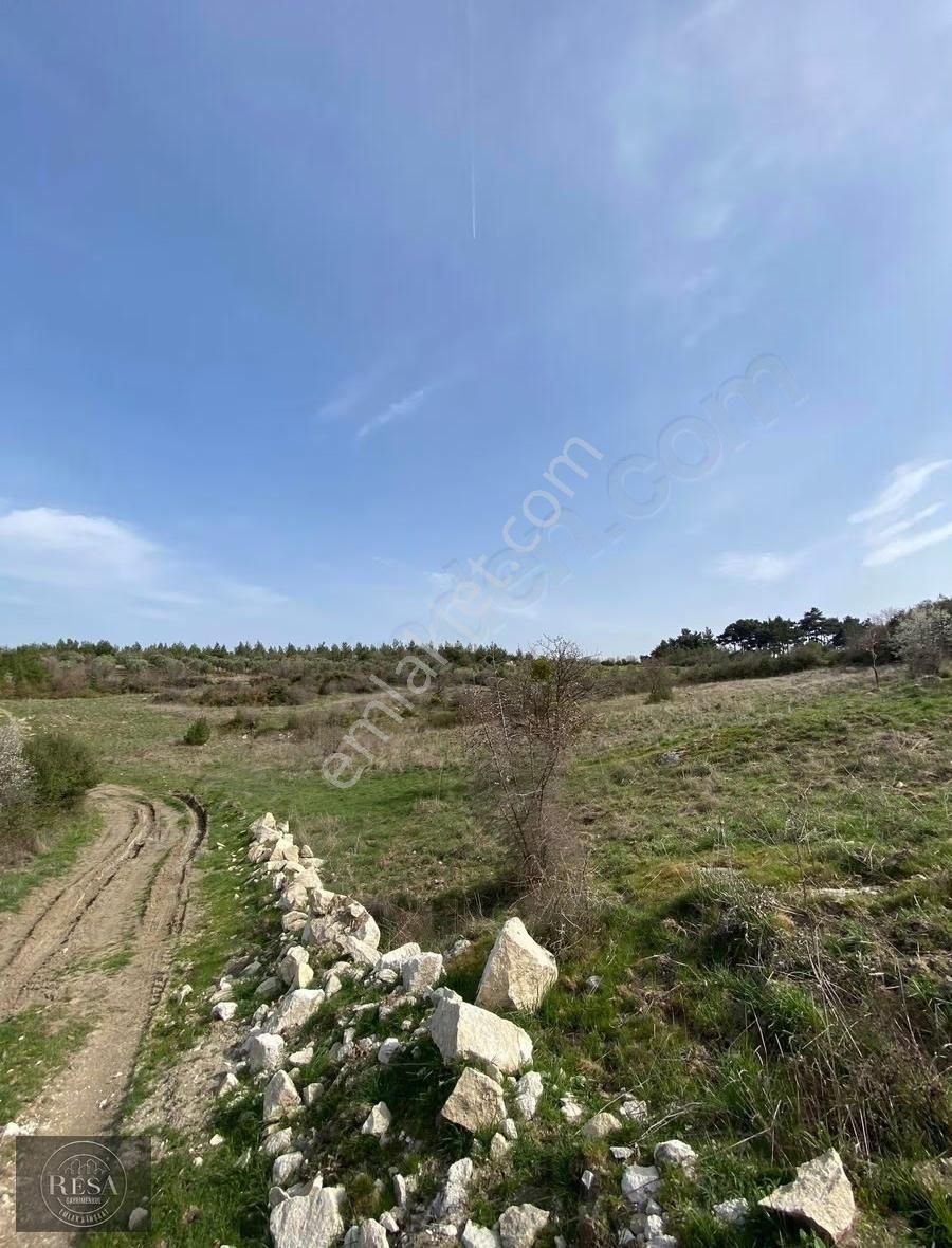Resa Gayrimenkul'den Sevişler Mh 10 Dönüm Satılık Arazi - Görsel 3