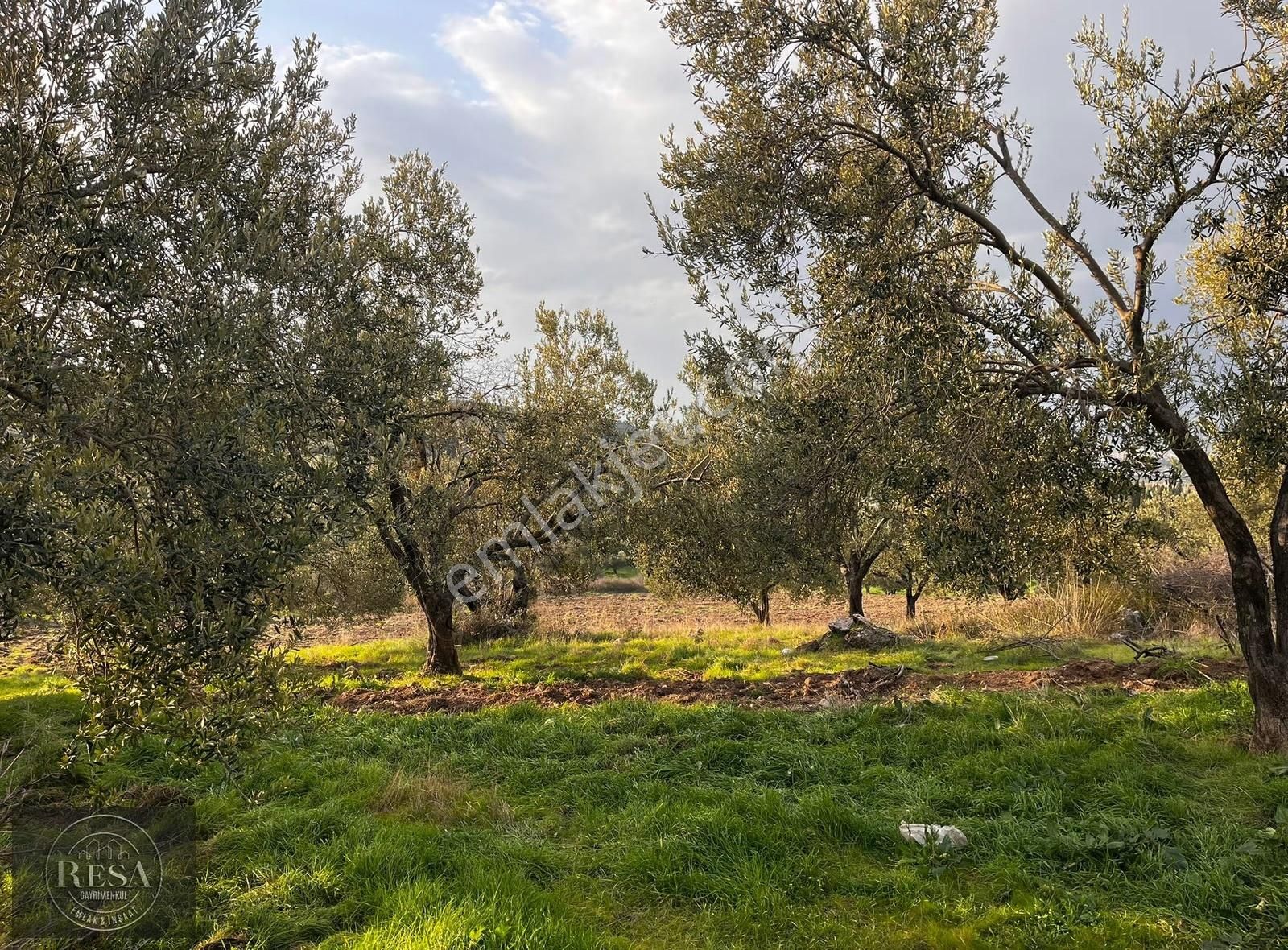 Resa Gayrimenkul'den Mezarlık Üstü 13.300 M2 Satılık Tarla - Görsel 3