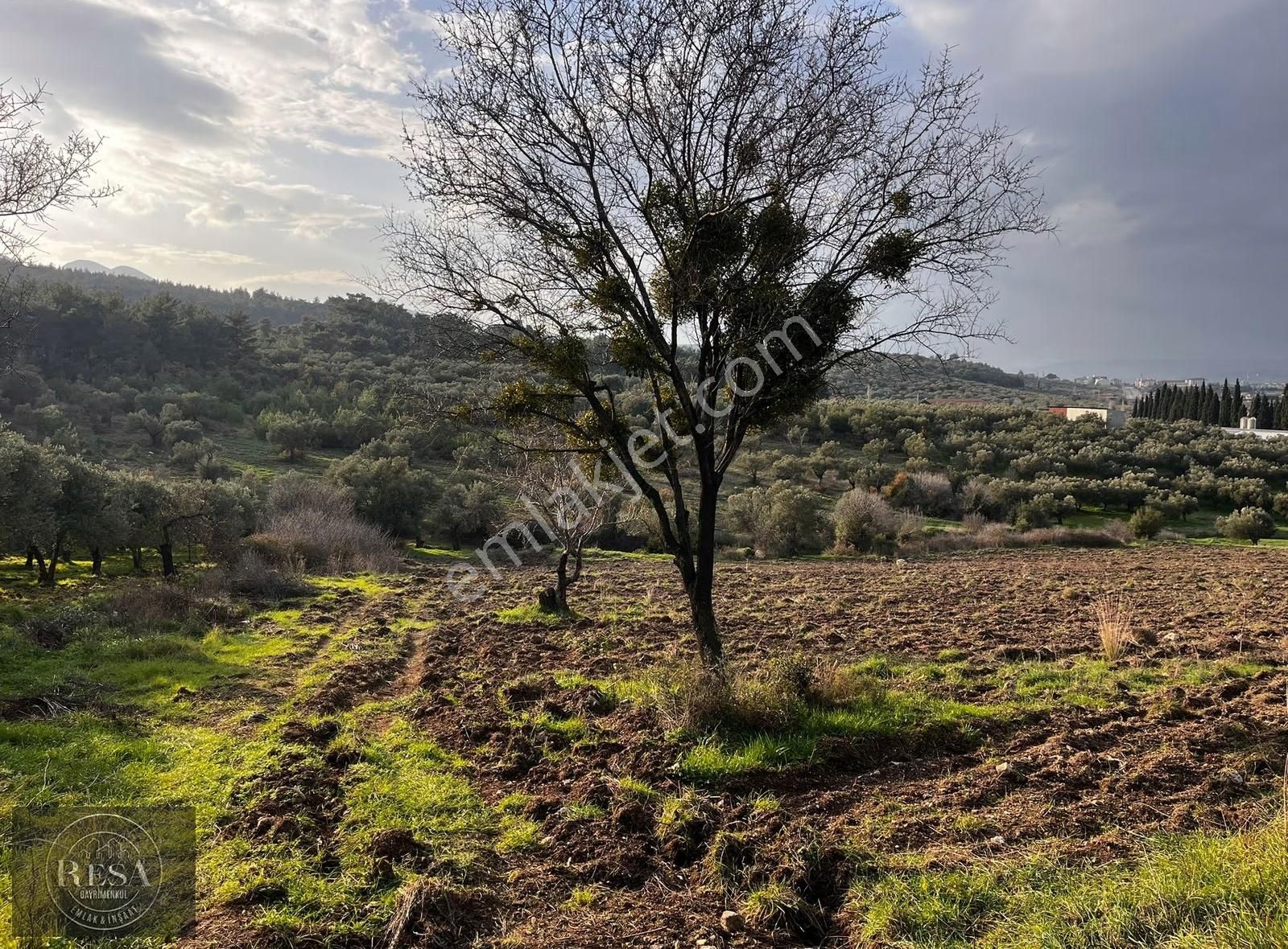 Resa Gayrimenkul'den Mezarlık Üstü 13.300 M2 Satılık Tarla - Görsel 2