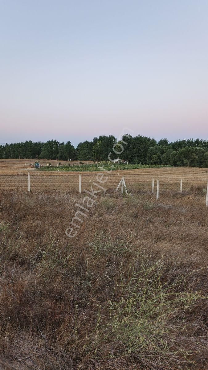 Tekırdag Saray Çayla Köyünde Satılık 777 M2 Hısse - Görsel 14