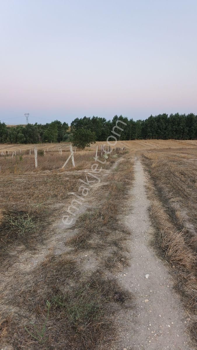 Tekırdag Saray Çayla Köyünde Satılık 777 M2 Hısse - Görsel 15