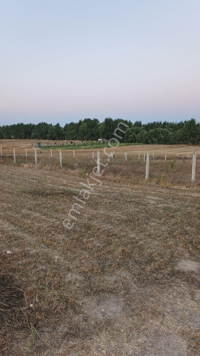 Tekırdag Saray Çayla Köyünde Satılık 777 M2 Hısse - Görsel 6