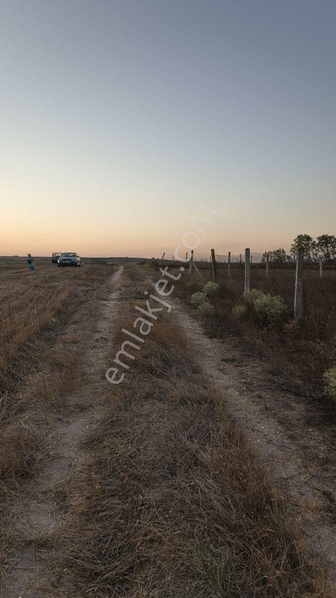 Tekırdag Saray Çayla Köyünde Satılık 777 M2 Hısse - Görsel 9