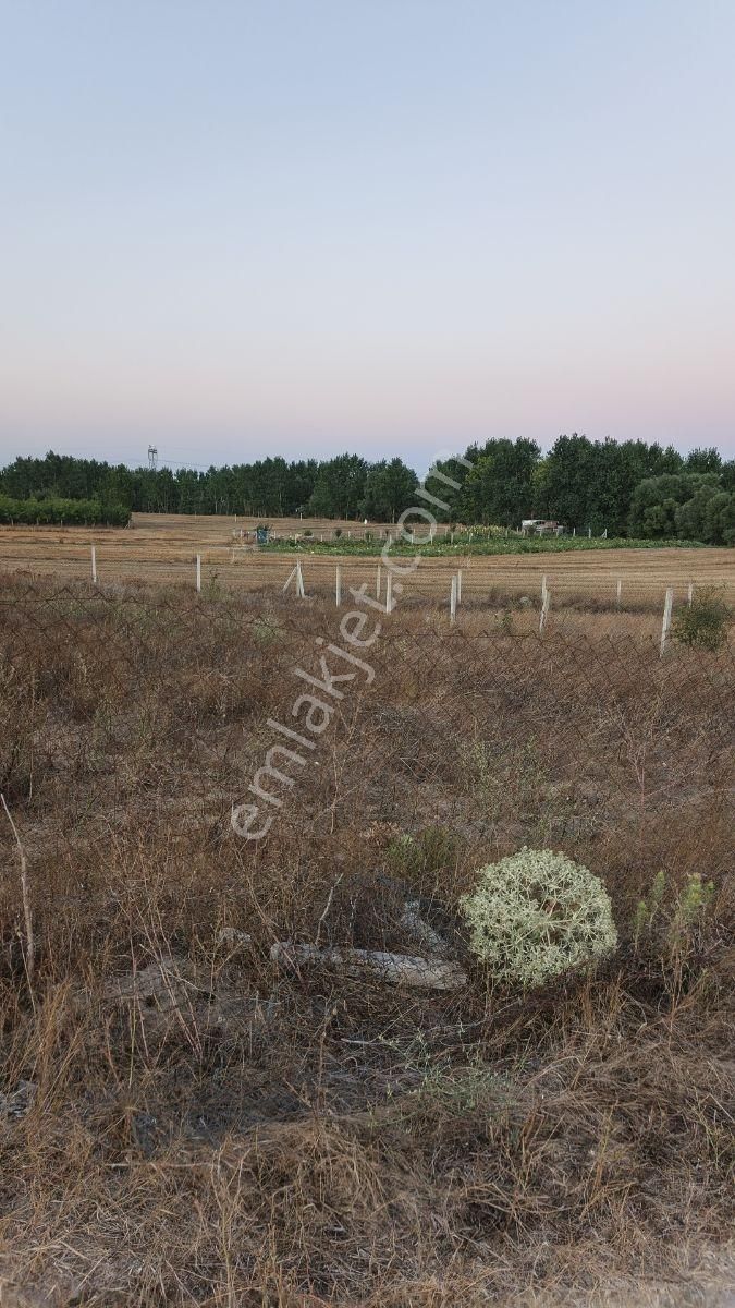 Tekırdag Saray Çayla Köyünde Satılık 777 M2 Hısse - Görsel 13
