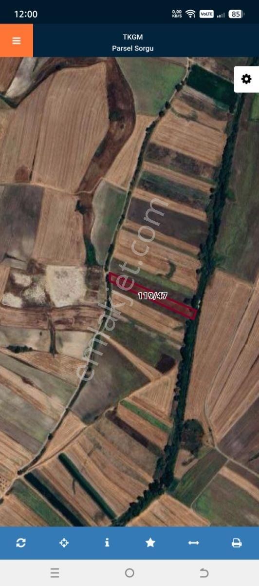 Tekirdağ Saray Demirler De Satılık 5546 M2 Tek Tapu Tarla - Görsel 3