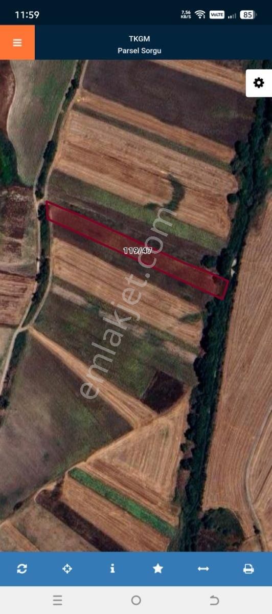 Tekirdağ Saray Demirler De Satılık 5546 M2 Tek Tapu Tarla - Görsel 6