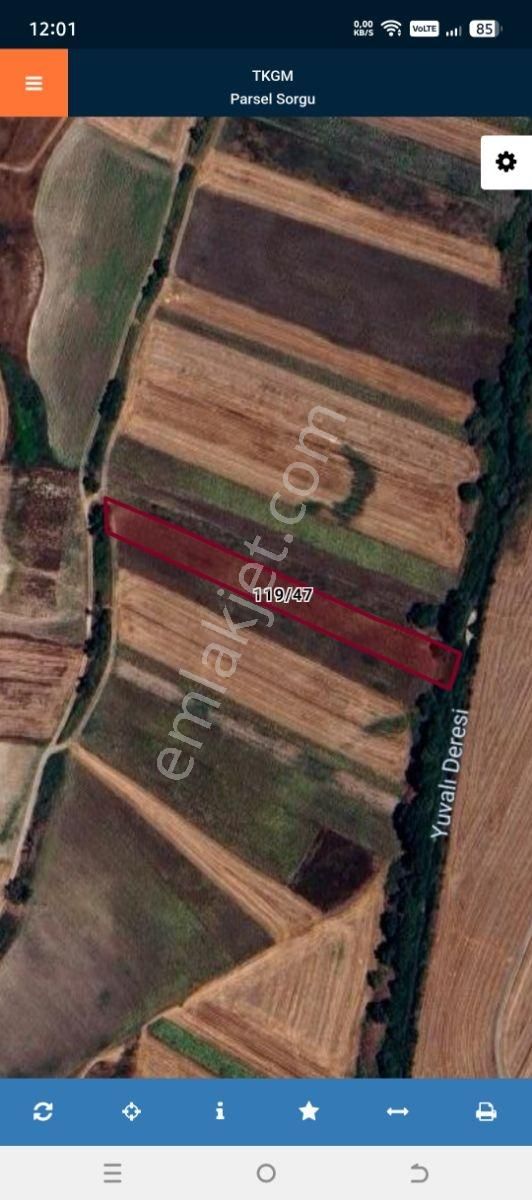 Tekirdağ Saray Demirler De Satılık 5546 M2 Tek Tapu Tarla