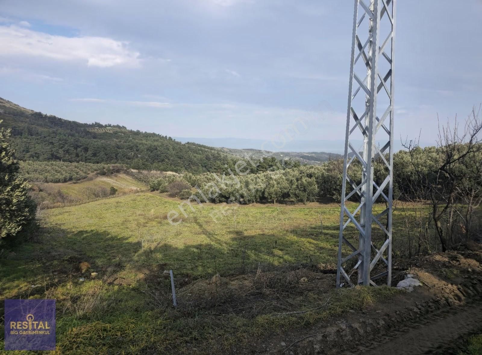 Mudanya Çepni"de Satılık 4061 M2 Manz. Zeytinlik Resital Big" De - Görsel 5
