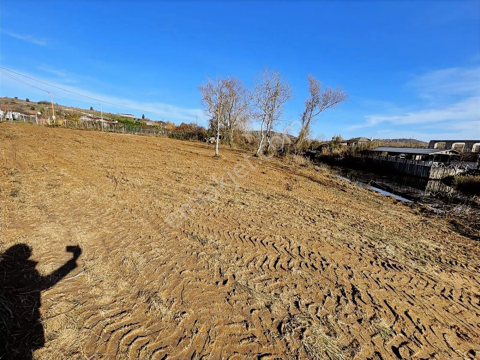 2009 M2 Pazarlıksız Tek Ve Son Fiyat