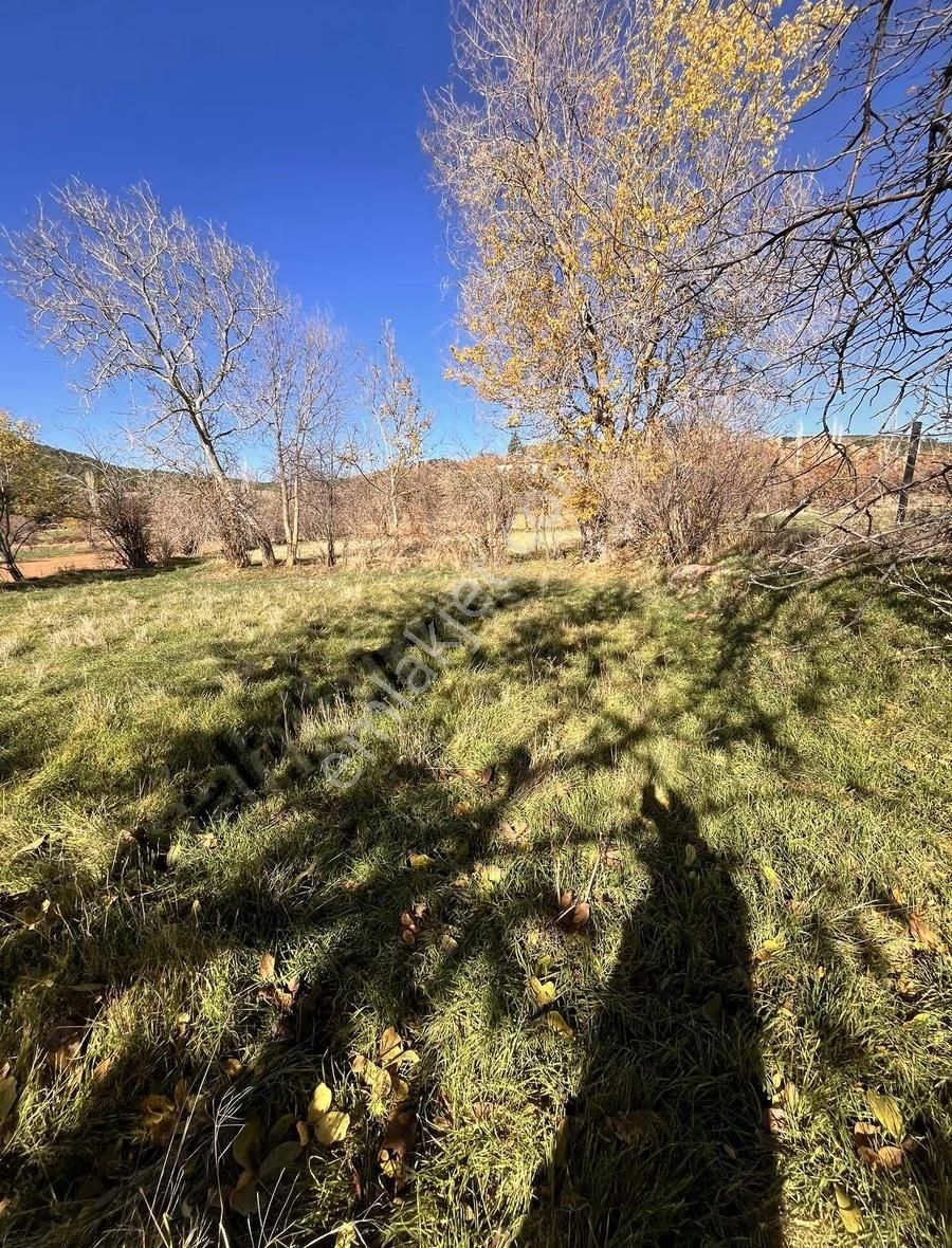 Banaza 3 Km Mesafede Köyiçi 380m2 Tarla - Görsel 2