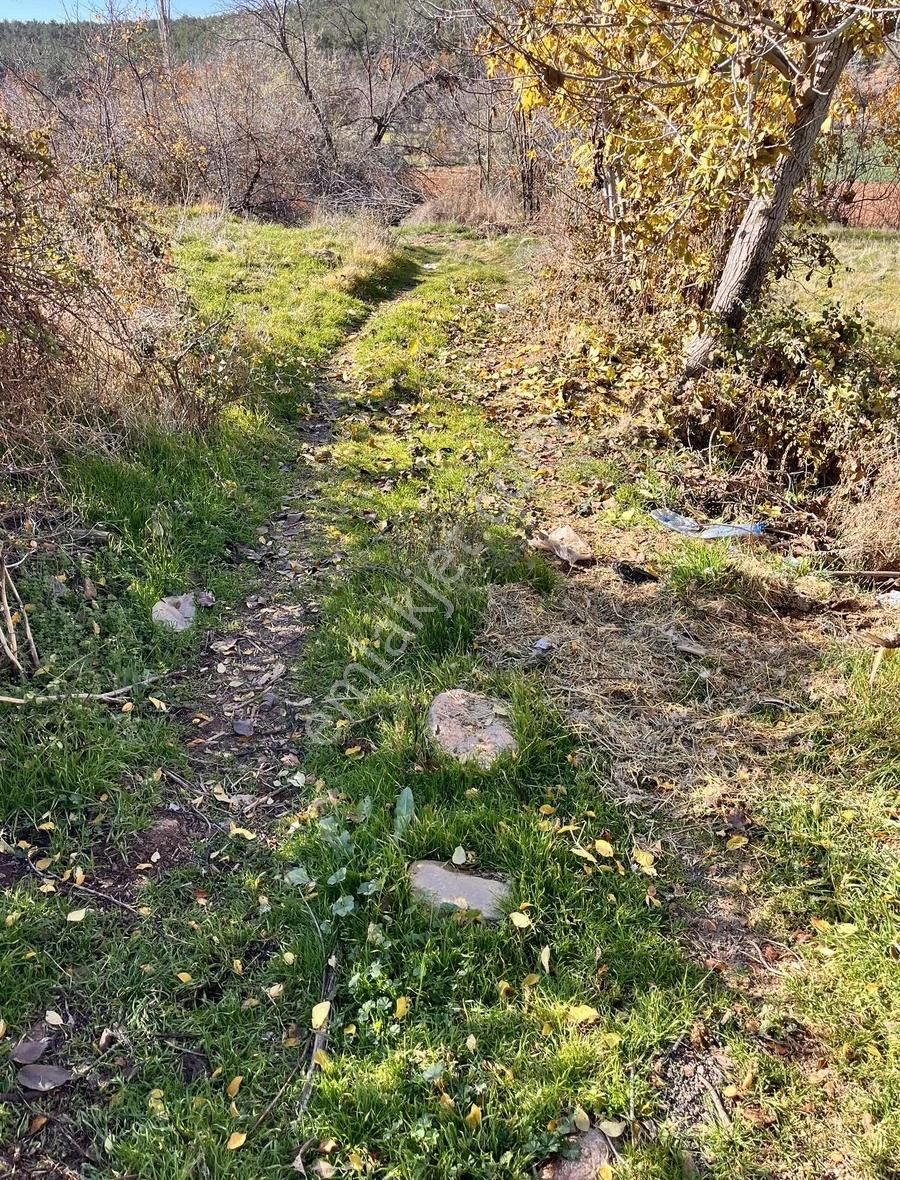 Banaza 3 Km Mesafede Köyiçi 380m2 Tarla - Görsel 12